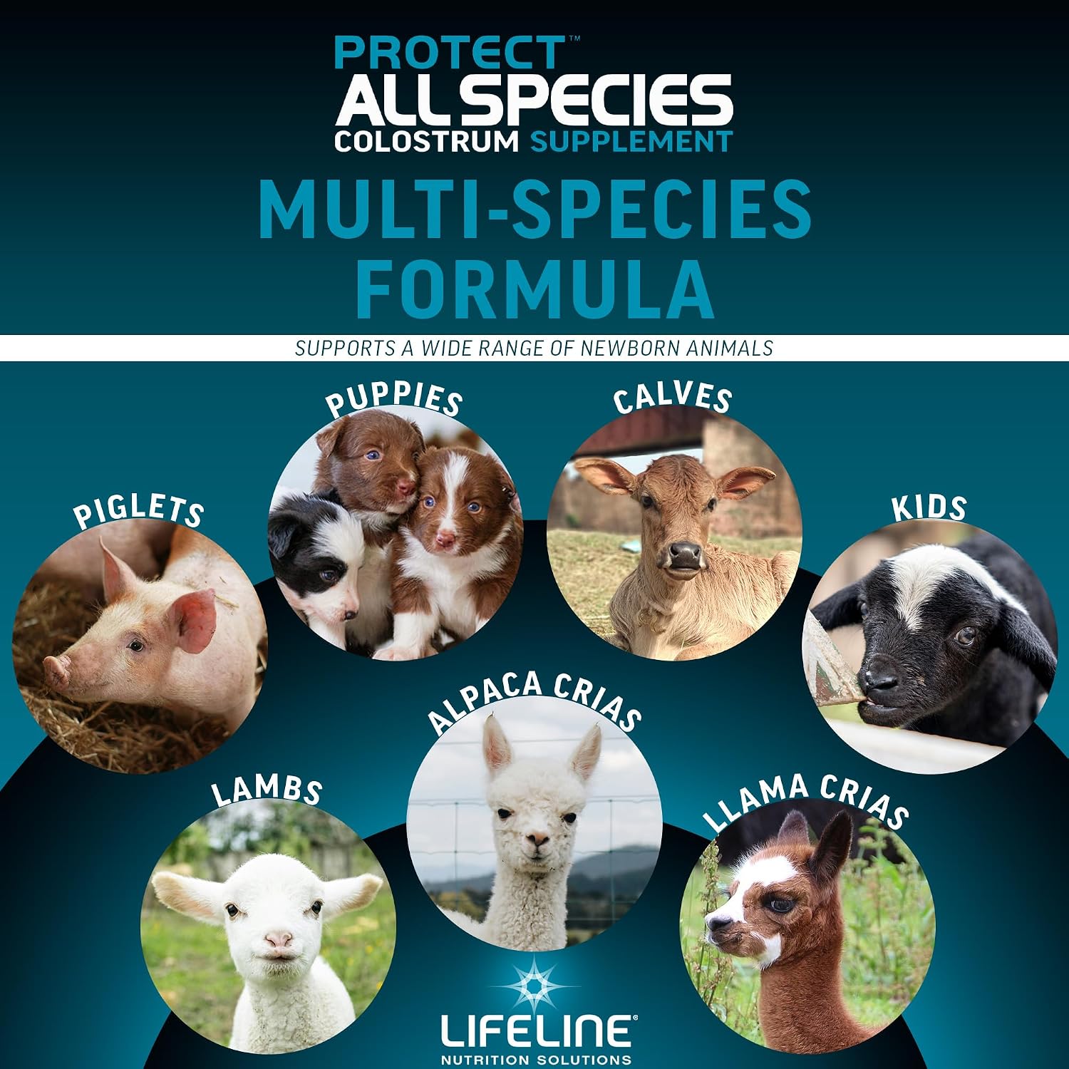 ANNUSO LIFELINE Protect All Species Colostrum Supplement, 1lb Bag - 50g Globulin Protein - 20% Added Fat and Carbohydrates - Immune and Energy Support for Newborn Animals