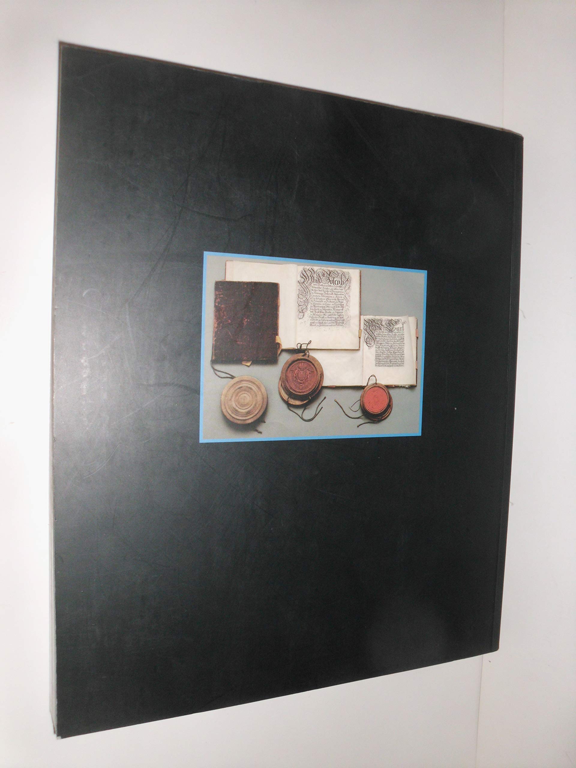 From Court Jews to the Rothschilds: Art, Patronage, and Power 1600-1800 Jewish Museum (New York, N. Y.); Mann, Vivian B.; Cohen, Richard I. and Backhaus, Fritz - PT01