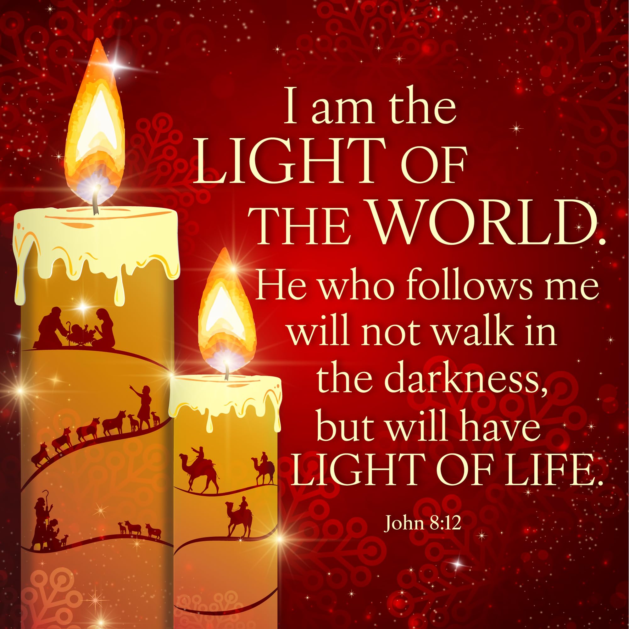Christian Christmas Cards, Pack of 10 with Bible Verse, I Am the Light