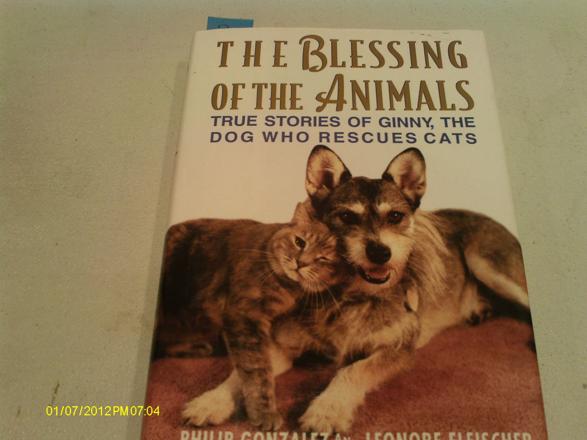 The Blessing of the Animals: True Stories of Ginny, the Dog Who Rescues Cats