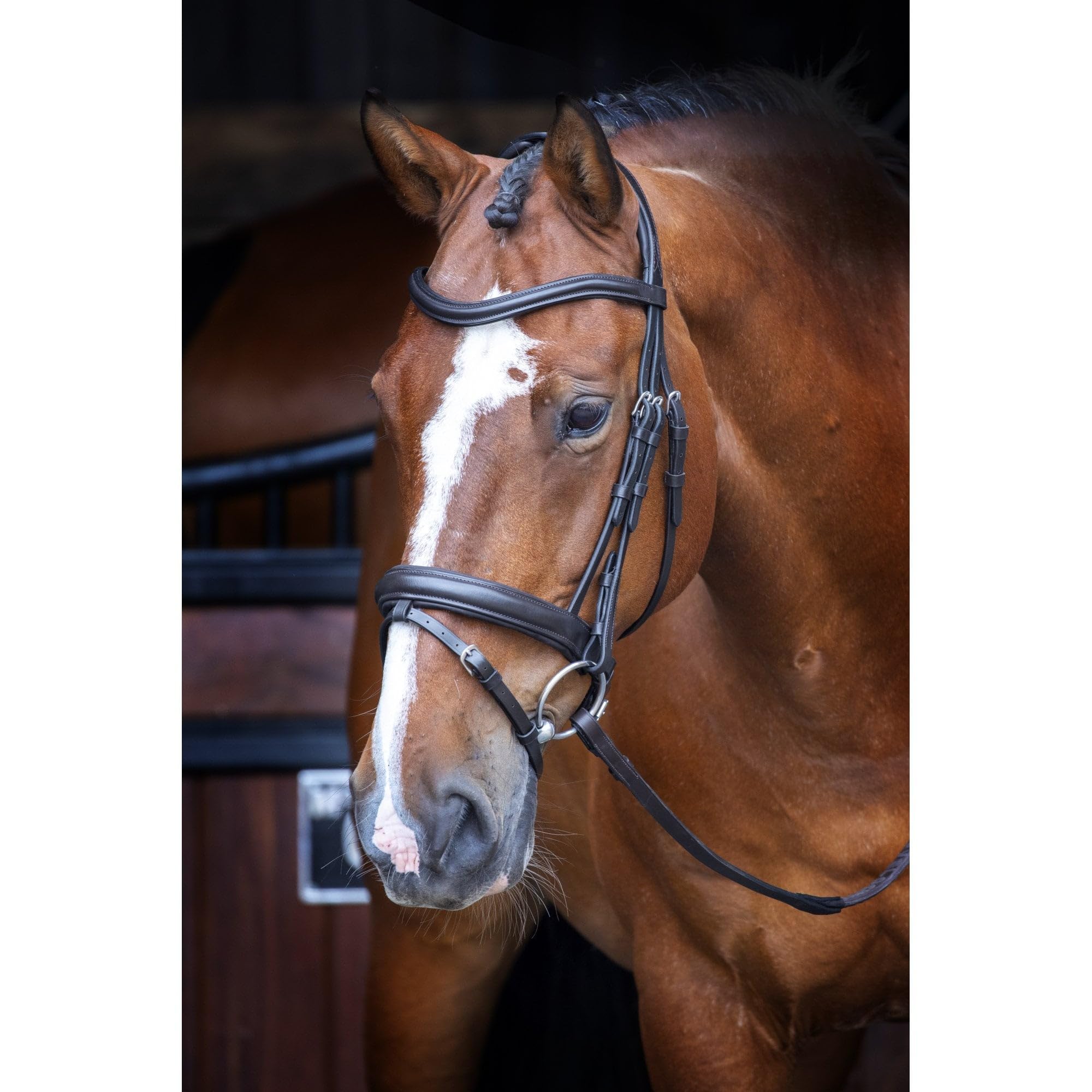 Shires Velociti Dressage Bridle with Flash - Black Full