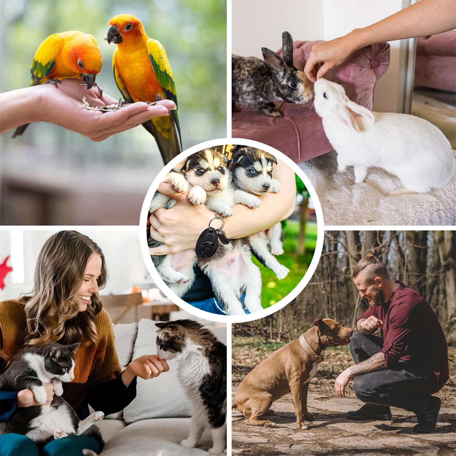 Aililong 2 Pezzi Dog Clicker - Addestramento Animali (Cani/Cuccioli/Gatti/Cavalli), Pulsante Grande, Materiali Alto qualità, Versatile