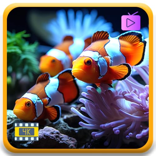 Aquarium Serenity – Relaxing Underwater Fish Tank with Colorful Ocean Views for Sleep & TV Screensaver