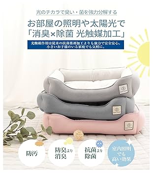 ロイ　犬猫生活　4つセット FAD+ トリーツエッグトイ/L | DADWAY PET DEPARTMENT
