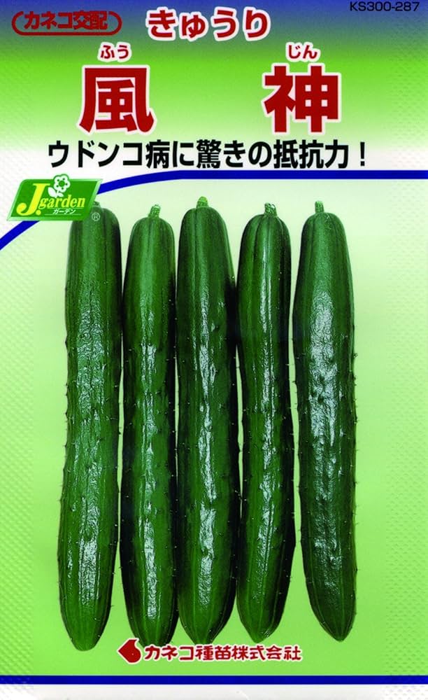 前菜三種盛考 前菜三種盛考