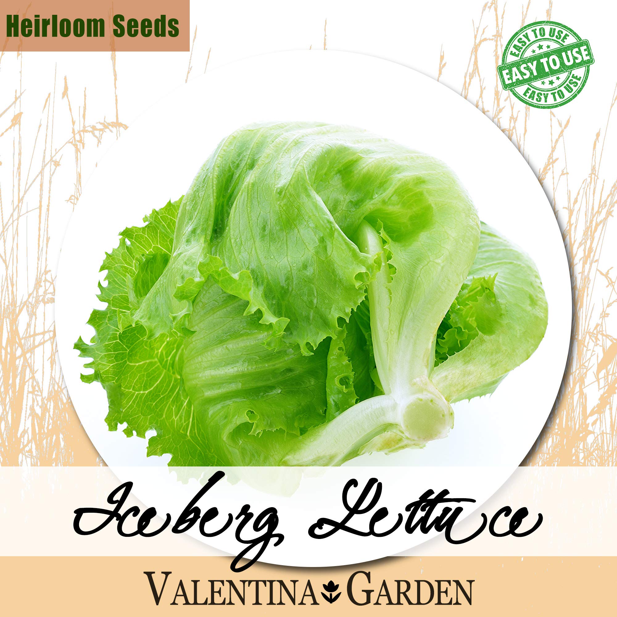 YBWL1200 Pcs Iceberg Lettuce Seeds for Planting - Plant an Outdoor Vegetable Home Garden