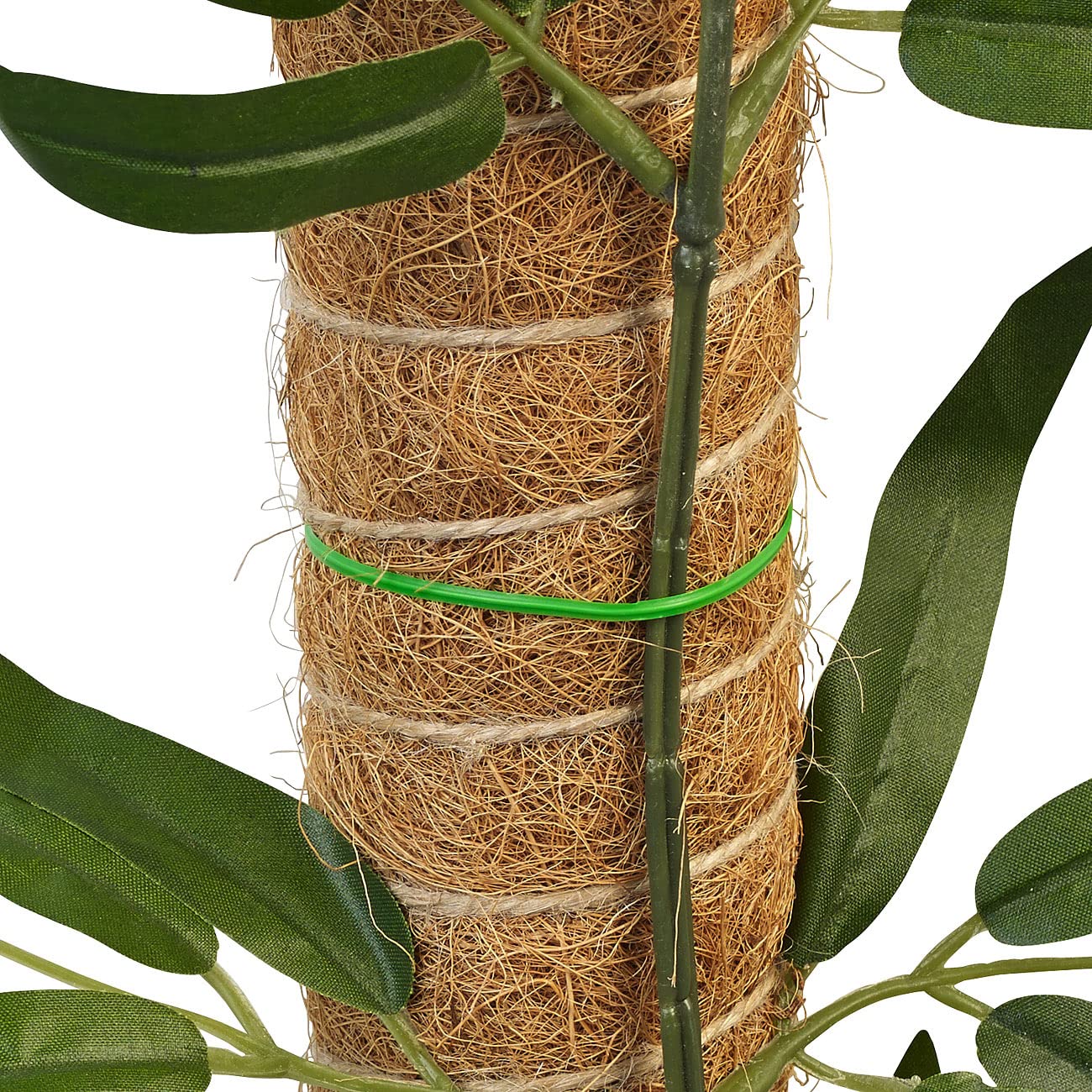 Royal Gardineer Pflanzstäbe Monstera: 16er-Set Rankhilfen aus Kokosfaser & Holz, 2x40 cm, 2x30 cm,Juteschnur (Rankhilfe Pflanzstab, Rankhilfen Zimmerpflanzen, Wein)