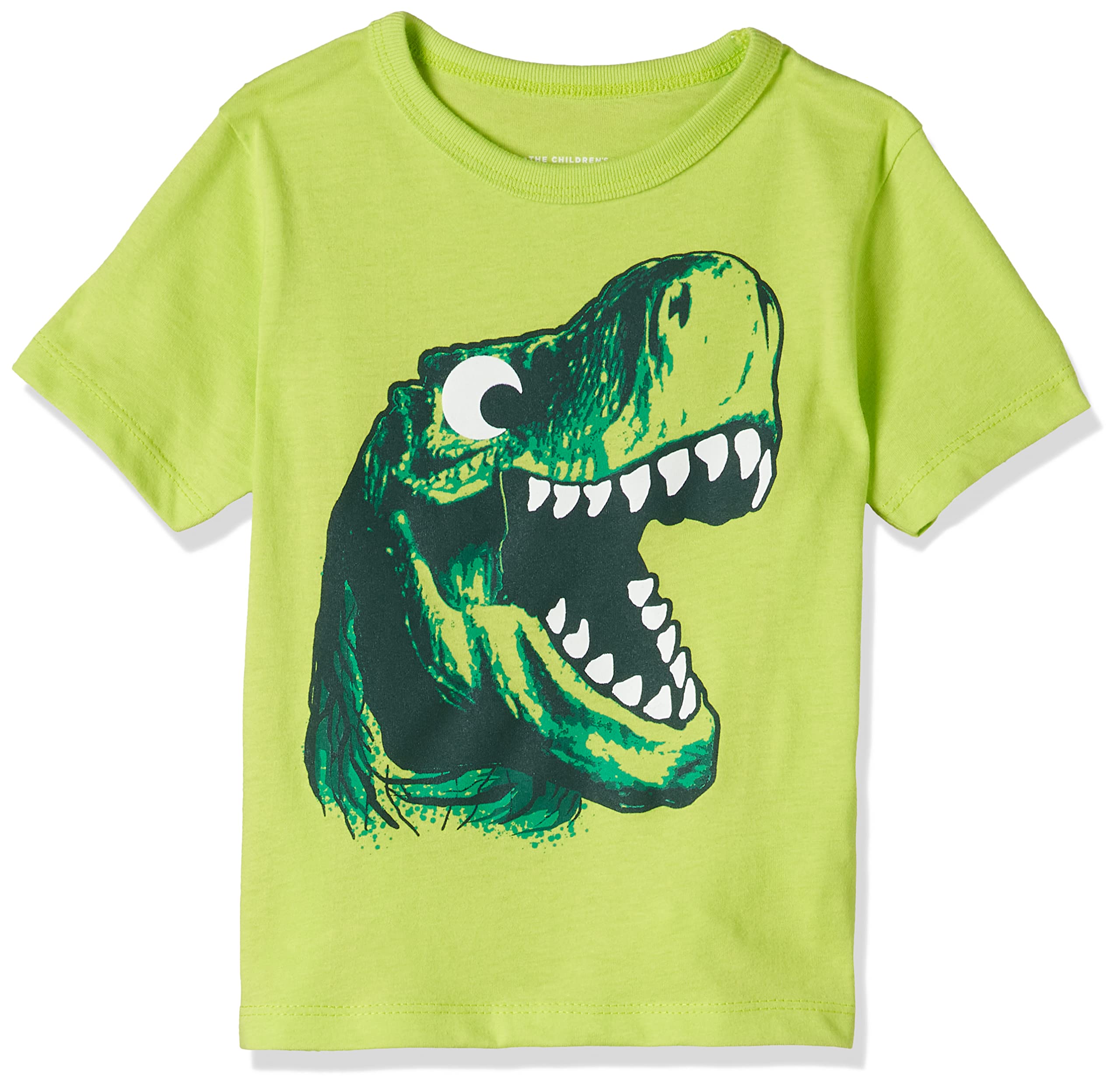 The Children's Place Boys J DINO HEAD T-Shirt (pack of 1)