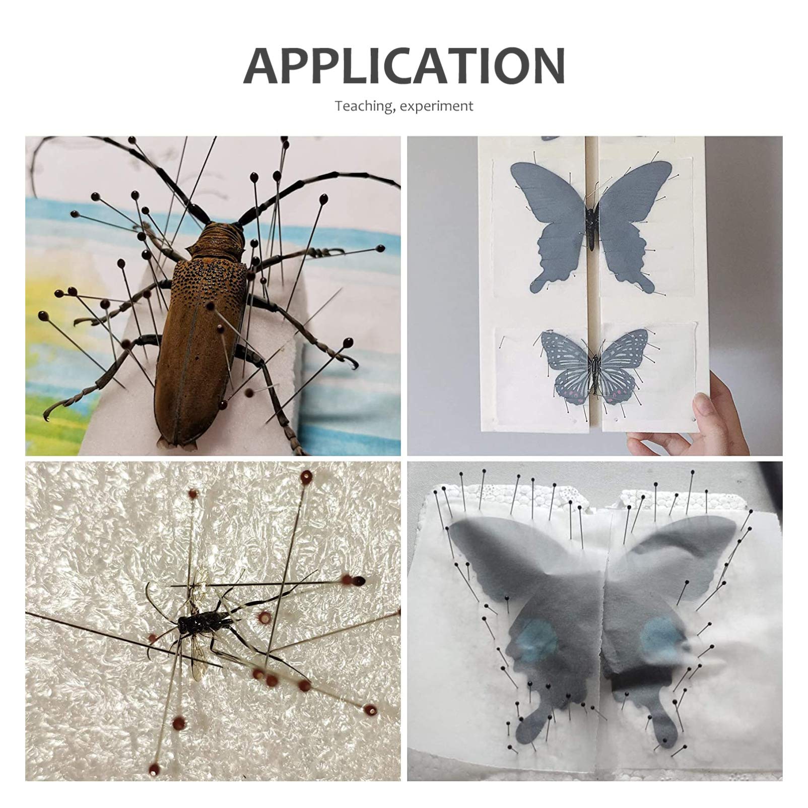 iplusmile 300 Stück Edelstahl Insekten Probe Entomologie Dissektion Schmetterling Sammlungen Nadeln für Die Schule 4X0. 06Cm