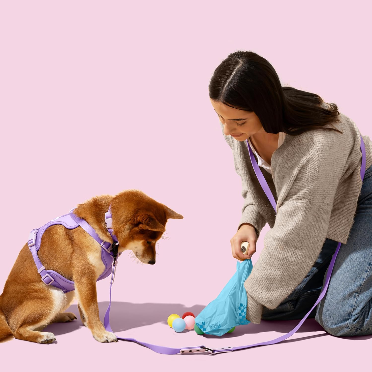 13 in. x 9 in. Extra Thick Leak Proof Unscented Dog Poop Bags, Blue (300 Count, 20-Rolls)