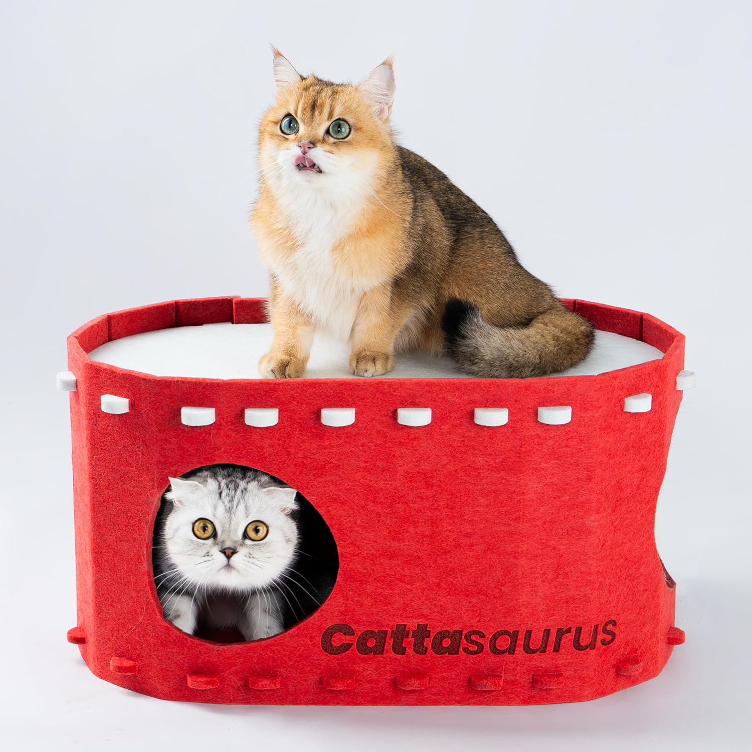 Cattasaurus Portable Cat House, Foldable Cat Beds for Indoor Cats, Enclosed Peekaboo Cave for Multiple Cats up to 26 lbs, Scratch Resistant Bunk Beds, Tunnels, Tent, Hideaway & Couch (Red, Large)
