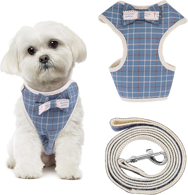 cobee No Pull Small Dog Harness and Leash Set, Plaid Style Puppy Vest Harness with Cute Bow Tie Adjustable Basic Harness for Small Dogs Detachable Cute Dog Walking Harness(M Size, Blue Plaid Style)