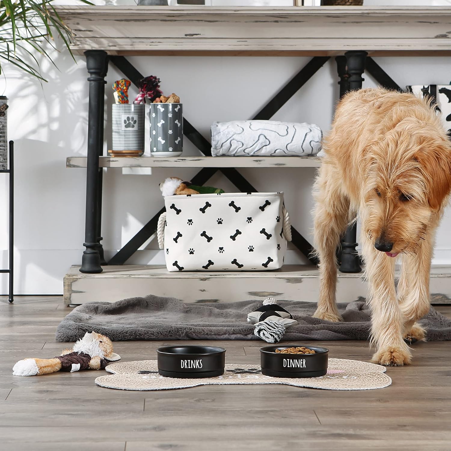 Bone Dry Ceramic Pet Bowls, Dishwasher & Microwave Safe, Non-Slip, Medium Set, 6x2, Black