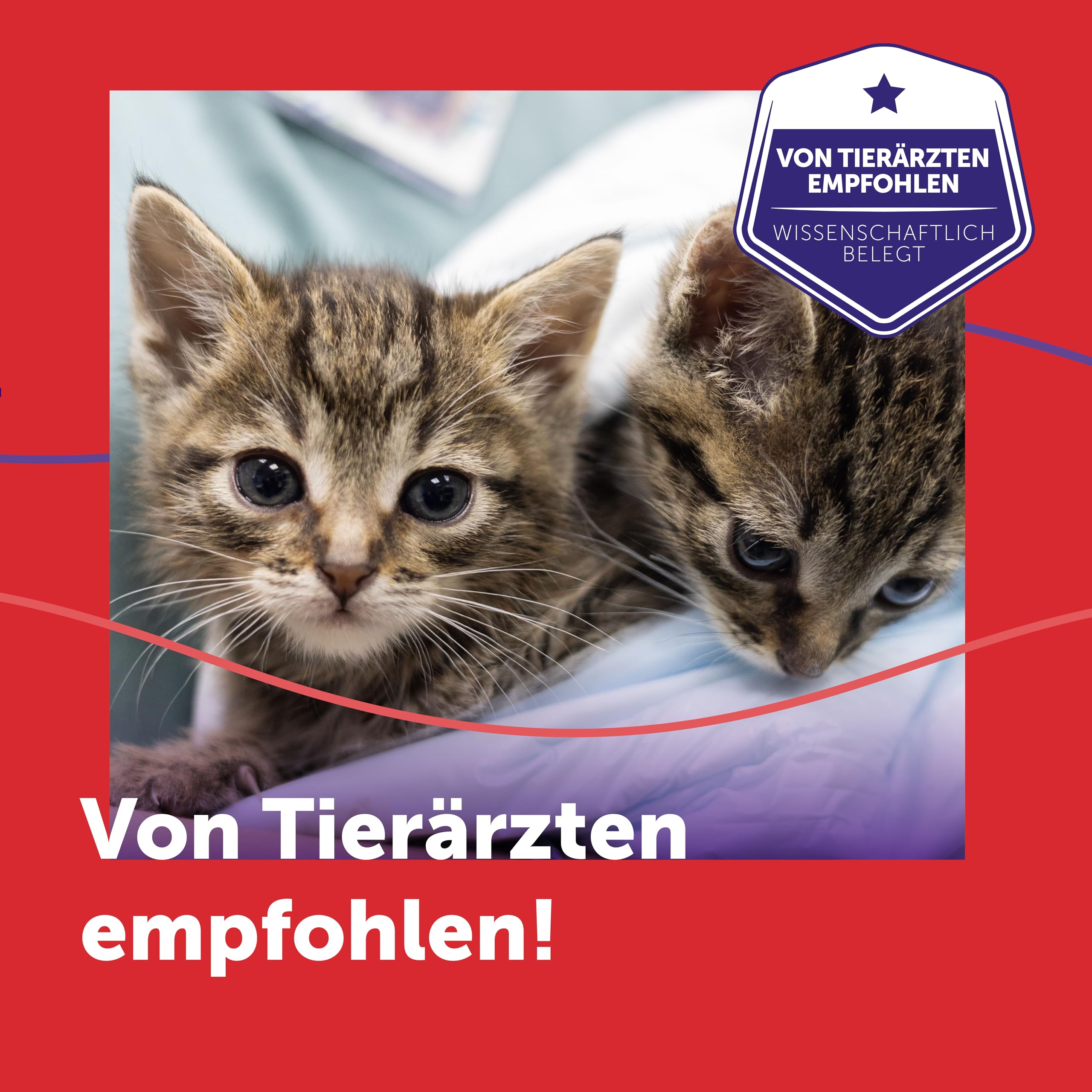 FELIWAY Friends 30 Tage Pheromon Verdampfer Start-Set, 48ml - Hilft Anzeichen von Stress bei Katzen und Kitten zu reduzieren, von Tierärzten empfohlen, klinisch getestet