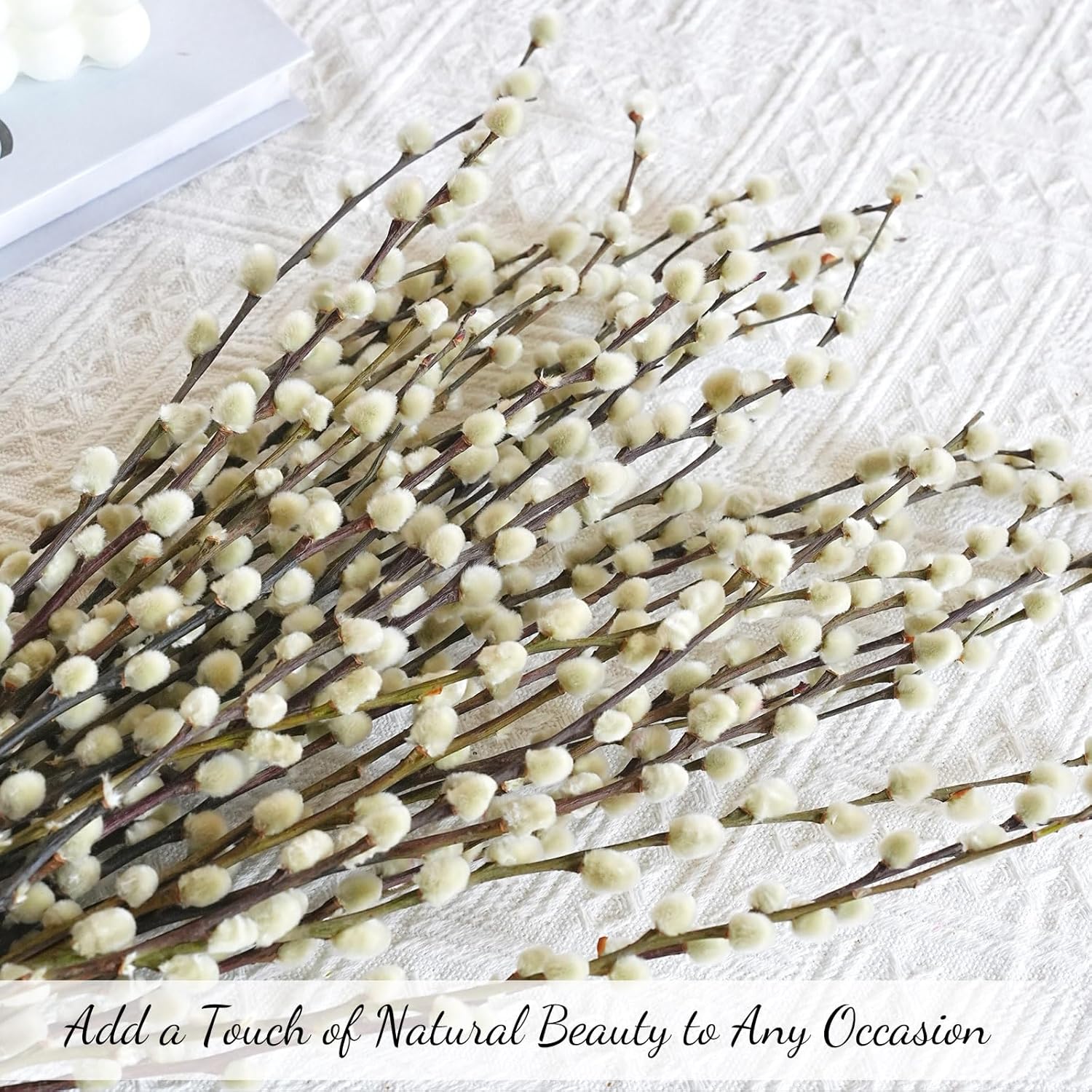 40 Stems Preserved Pussywillow Branches - 16''-17'' Real Dried Pussywillow with White Flowers, Natural Home Decor for Vase, Wedding, Rustic Farmhouse, Fireplace, Easter Spring Centerpiece