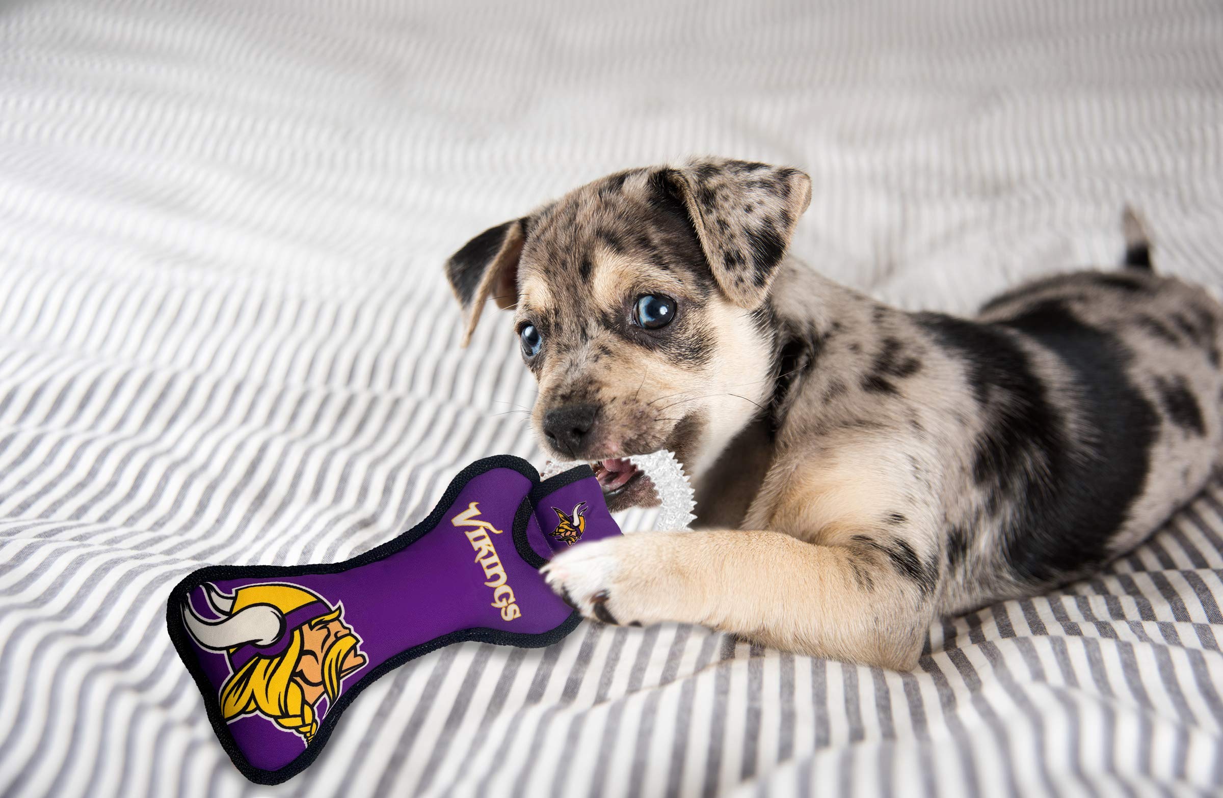 Pets First NFL Minnesota Vikings - Juguete dental para perro con chirriador incorporado en forma de pelota de goma para dentición