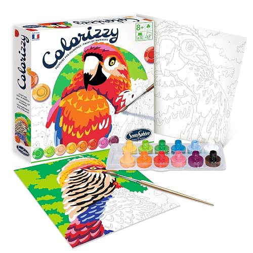 Sentosphère 3904501-Juego, diseño Pájaros Colorizzy, números, Pintura para niños, Loro, Kit de Manualidades