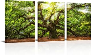 Conipit Angel Oak Tree Pictures Wall Art Green Oak Painting South Carolina Prints Framed and Stretched Natural Landscape Canvas 12''x16''x3