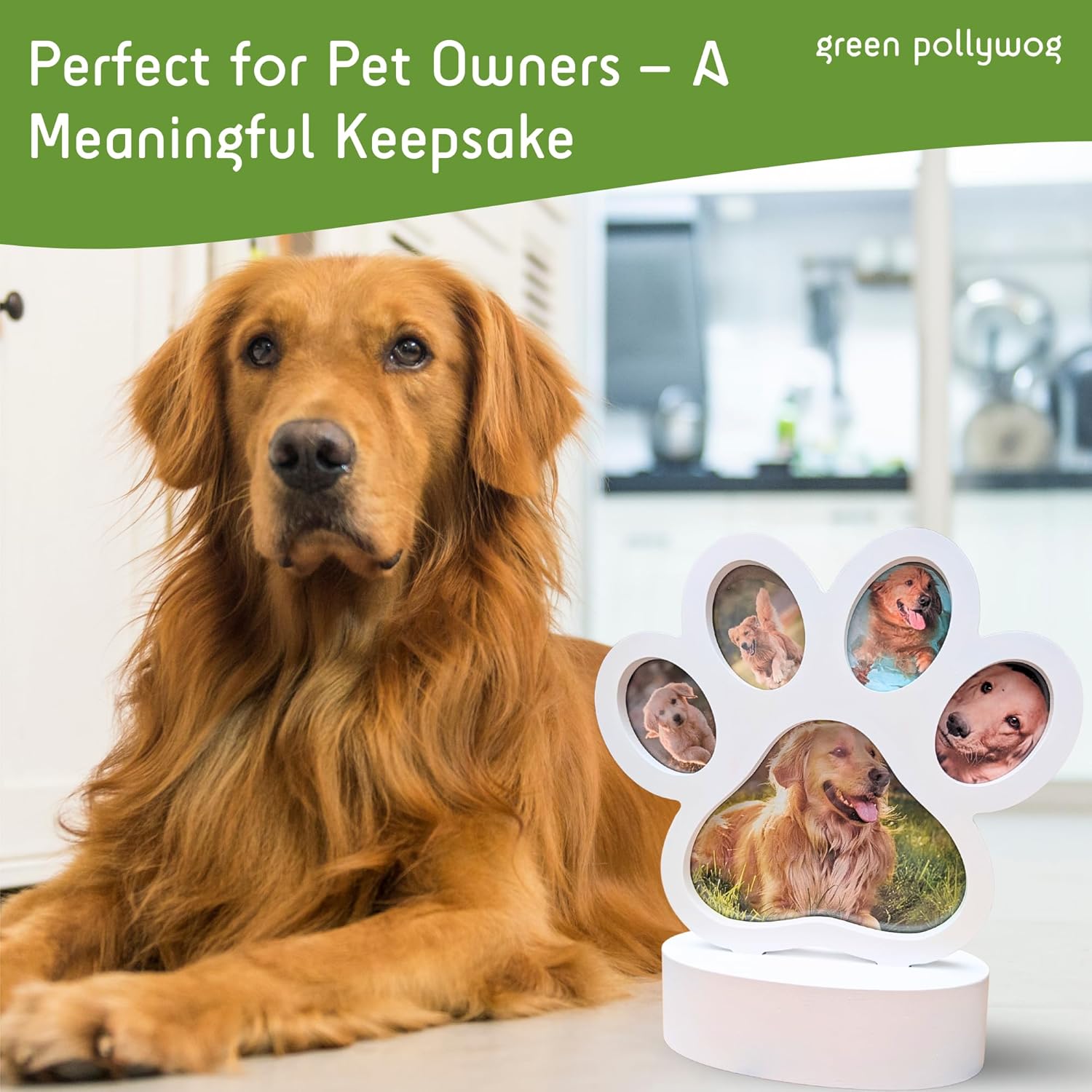 Green Pollywog 5 Opening Paw Print Shaped Frame with Curved Base | White | 7 x 2.4 x 1 inch Natural Pinewood Image Display for Pets - Image 7