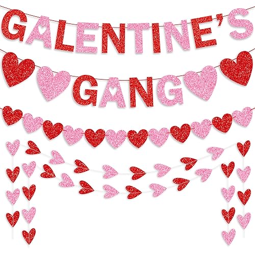 Galentines Decorations Set, NO DIY, Includes Galentine’s Gang Letter Banner,