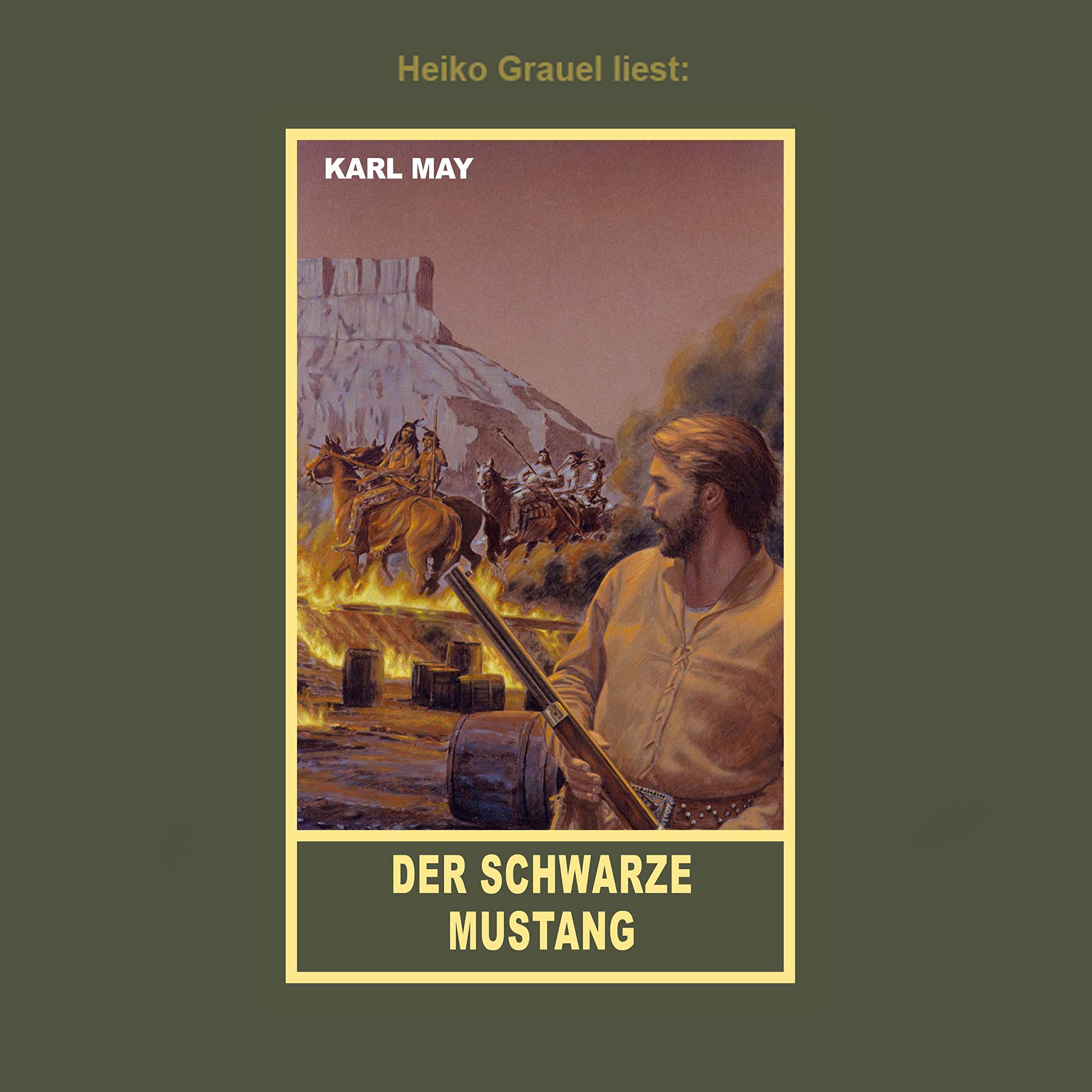 Cover art for Der schwarze Mustang