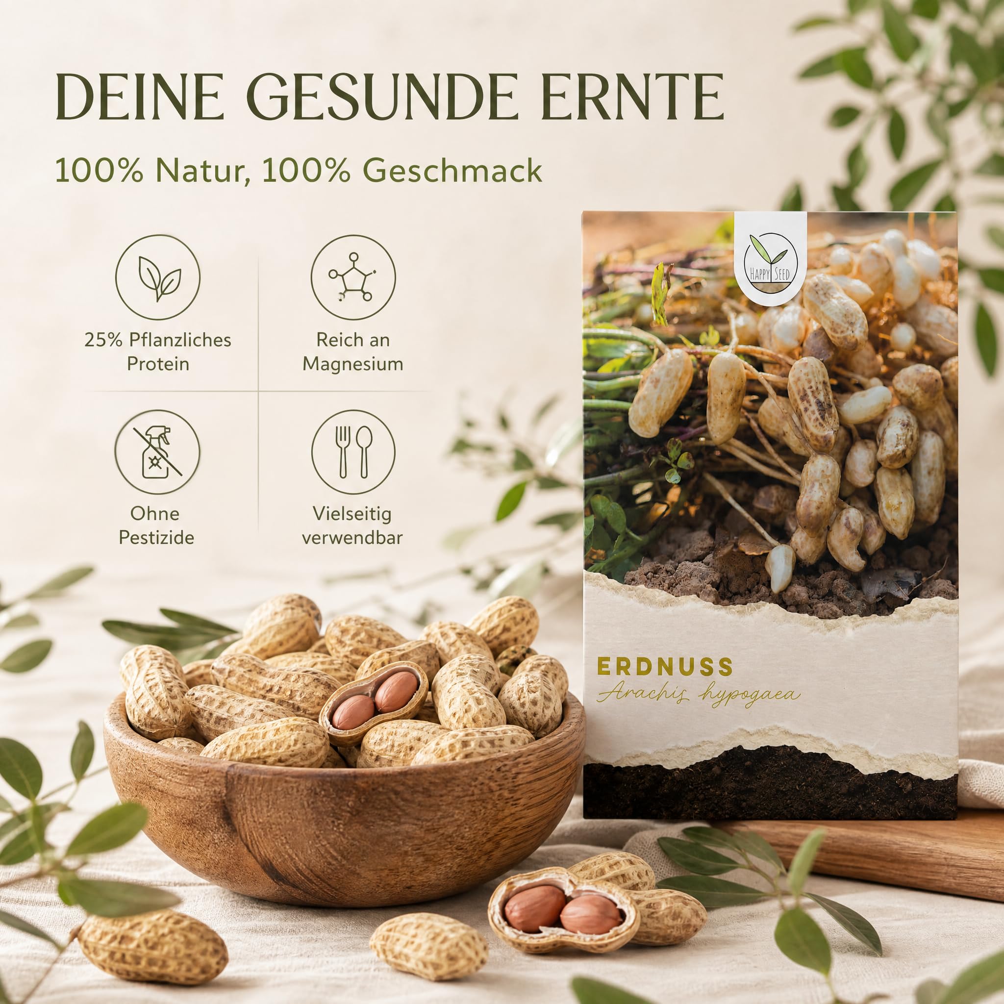 Erdnuss Samen (Arachis hypogeae) - Nhrstoffreiches Erdnuss Saatgut ideal  fr die Anzucht im Garten, Balkon oder Terrasse : Amazon.de: Garten