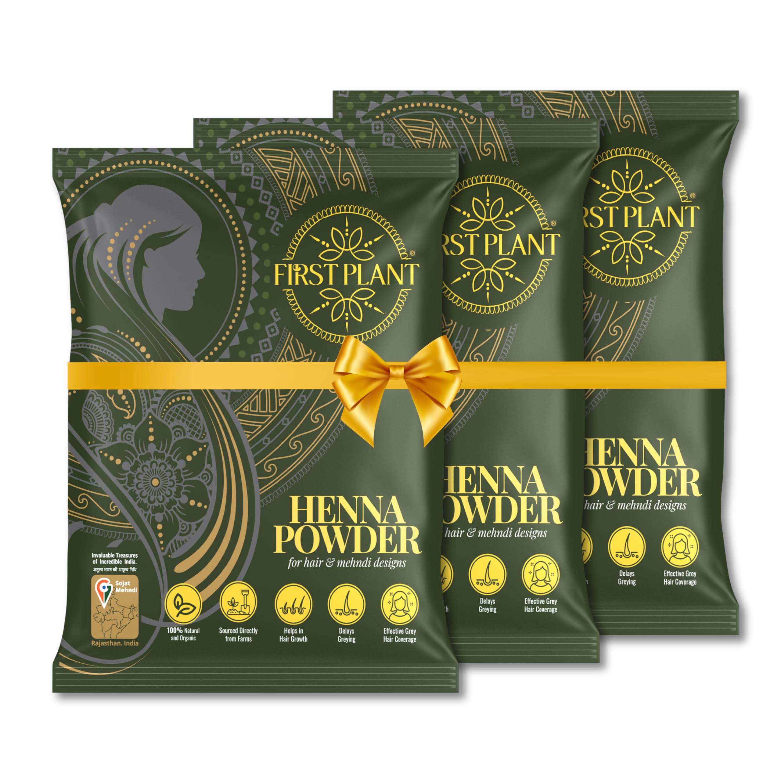 FIRST PLANT - Premium Rajasthani HENNA POWDER, 100% ORGANIC Henna with GI Tag for Hair Colour and Hair Care,(Pack of 3x 200g)-picture-45