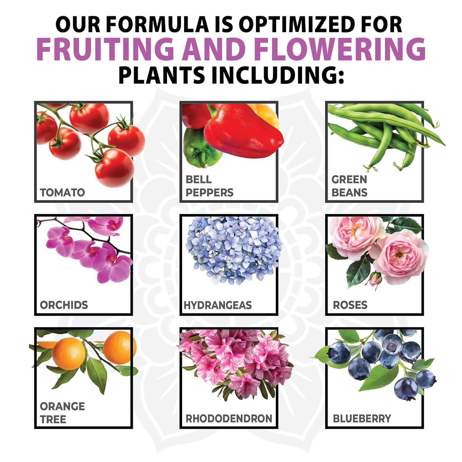 Liquid Flower Fuel 0-3-3 - Bloom Booster Fertilizer for Fruiting and Flowering Plants - Better Yield and Larger Flowers - Concentrated Potassium and Phosphorus - Quart (32oz)