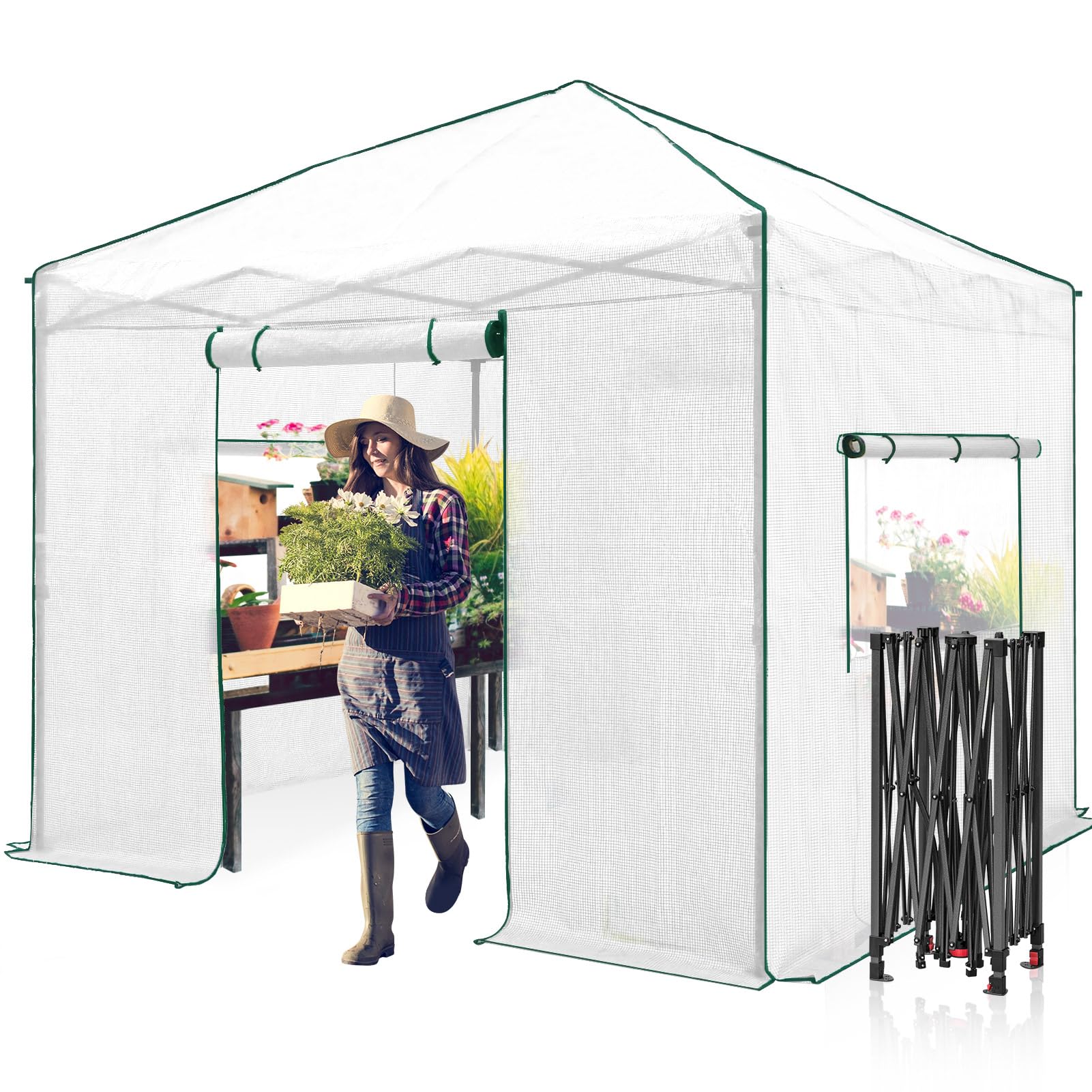 EAGLE PEAK 10x10 Portable Walk-in Greenhouse, Pop-up Indoor Outdoor Garden Green House, Zippered Doors and Windows, PE Cover, White