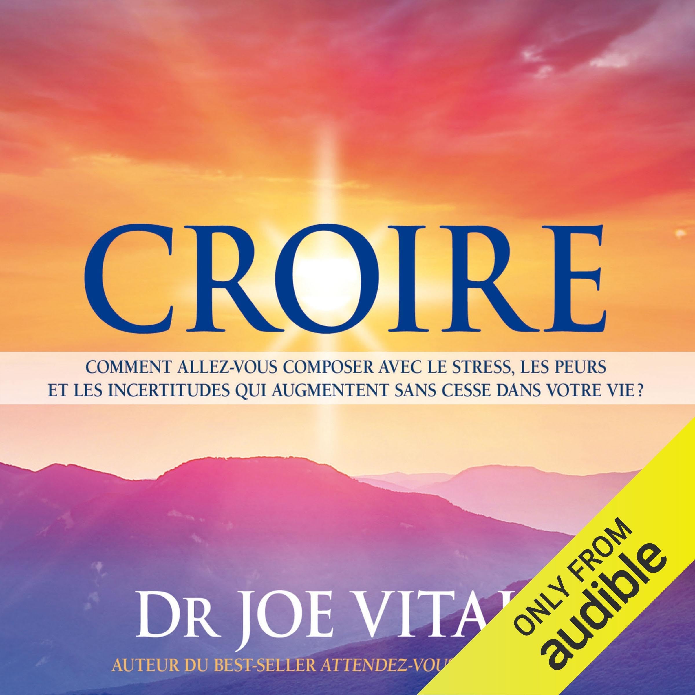 CD - Croire [Audio CD] Vitale, Joe