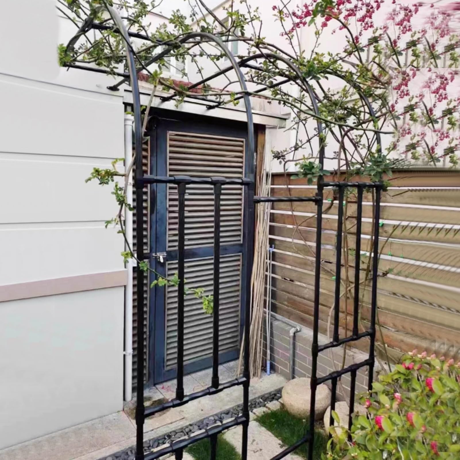 Arche de jardin en métal noir W240 pour l'escalade des roses