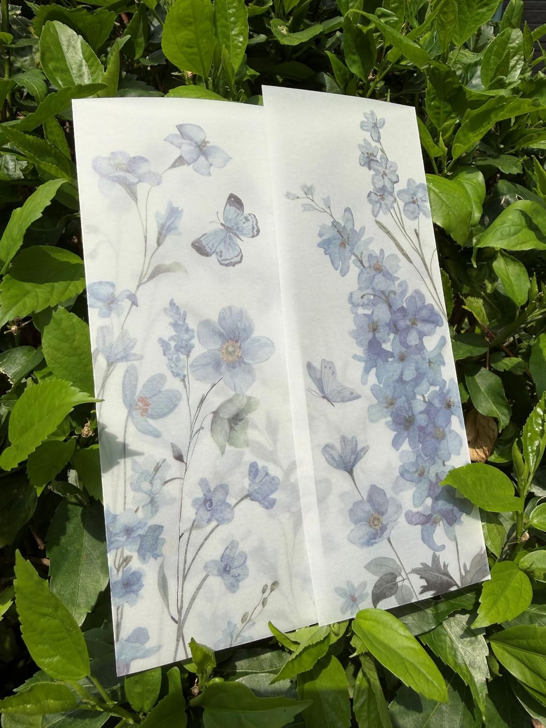 Puremigo 30 Pack Pre-Folded Vellum Jackets for 5x7 Invitations - 115GSM Vellum Paper 5x7 Jackets - Wedding Invitations Wraps - Transparent Wedding Blue Floral
