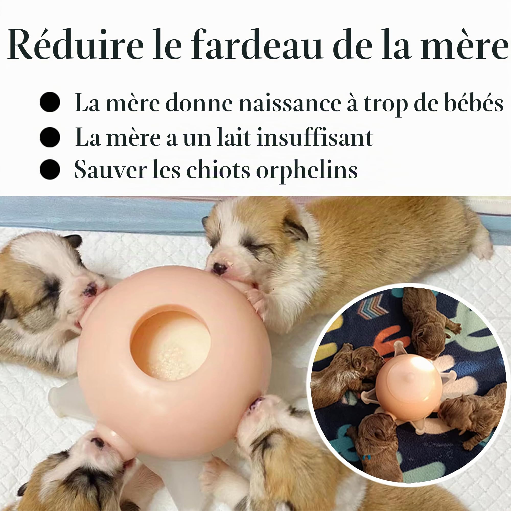 Doggiema Mangeoire à Lait pour Chiot, Biberons pour Chiots, pour Plusieurs Chiots 4 Tétines en Silicone Allaitement pour Chiot Bubble Milk Bowl