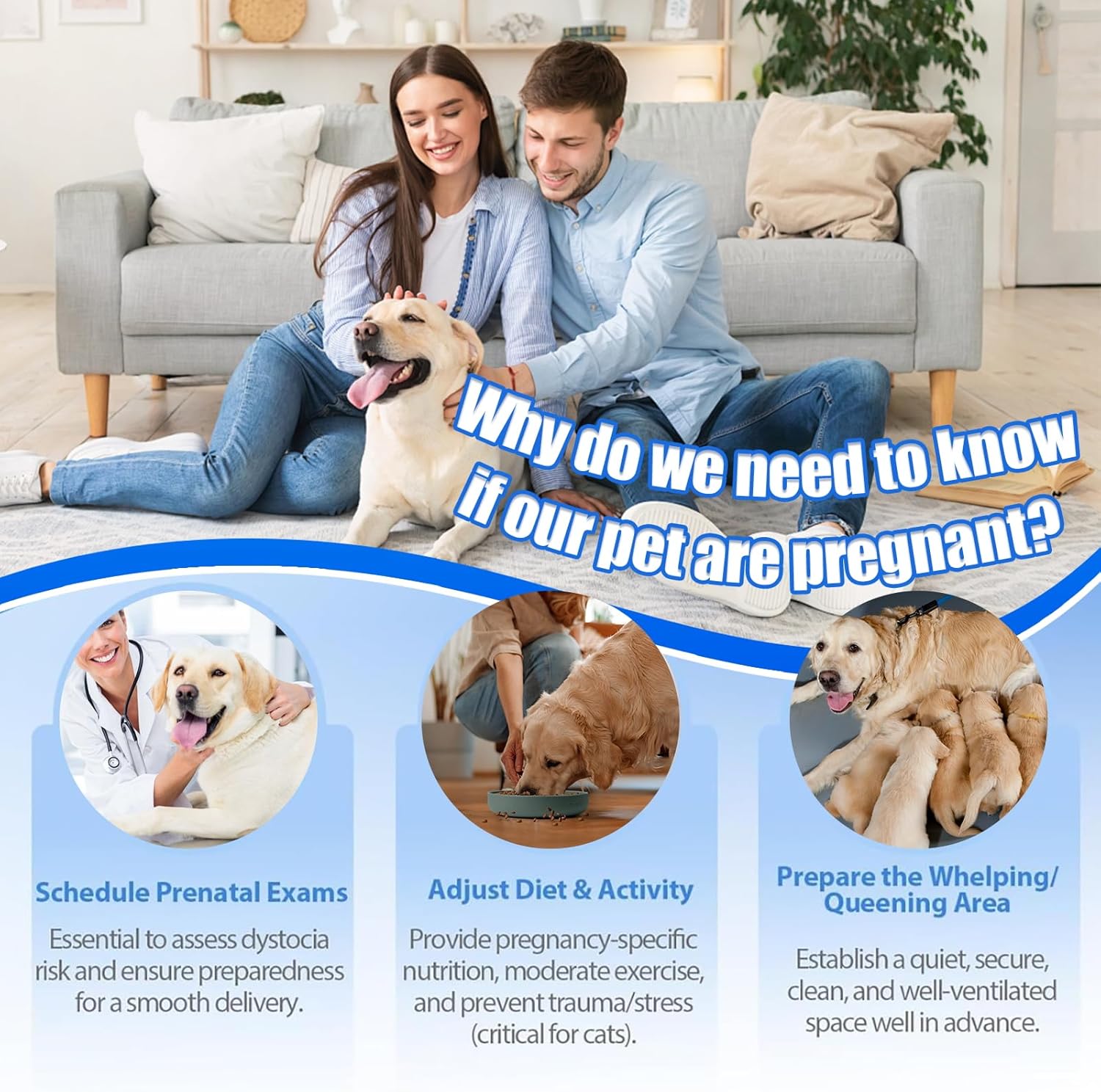 Dog & Cat Urine Pregnancy Test Kit at Home – 5-Minute Fast & Accurate Results for Pet Progesterone Detection, Painless No Blood Draw, Easy Test Strips for Pet Owners & Breeders
