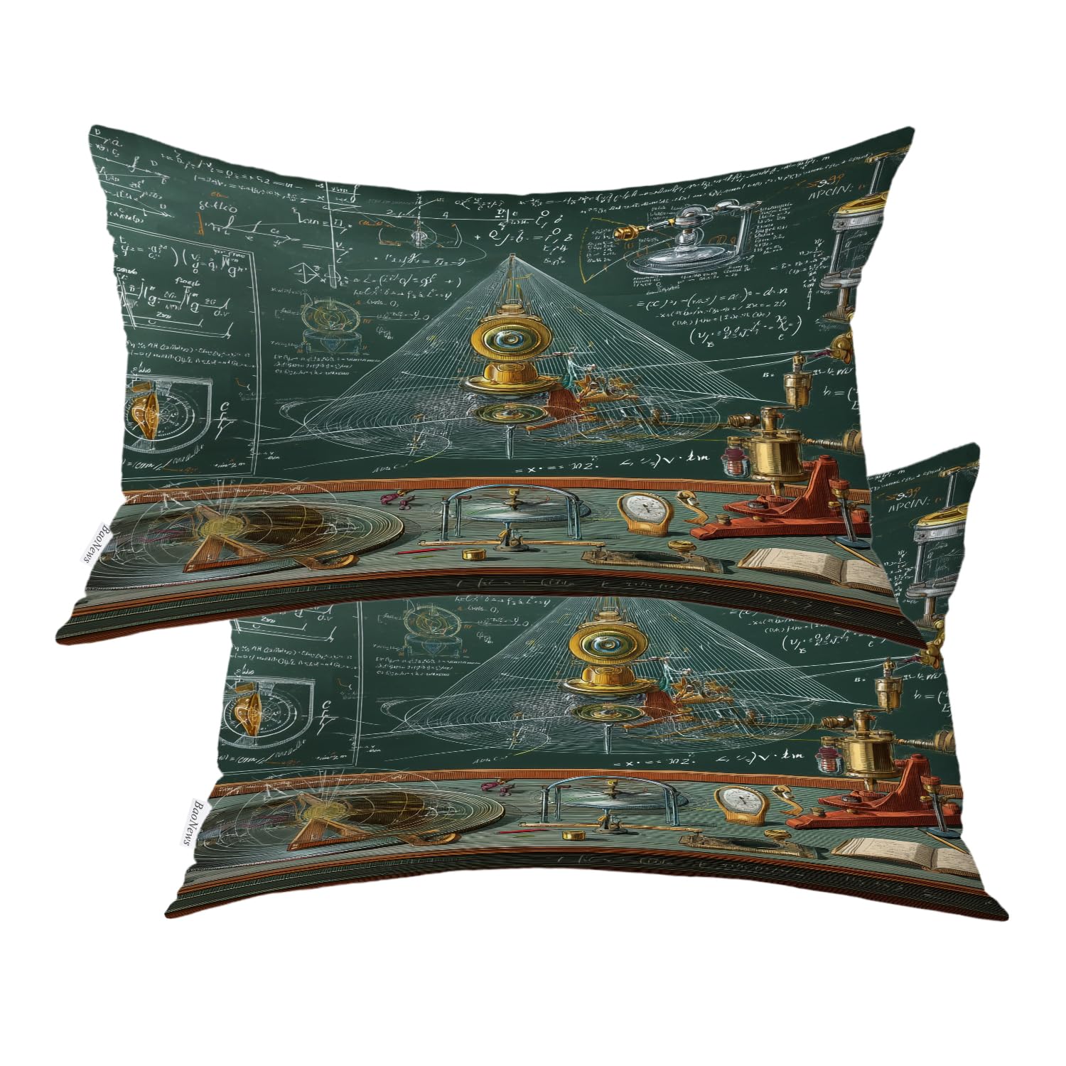 Housses de coussin avec fermeture éclair dissimulée lot de 2 taies peau et cheveux 30x50