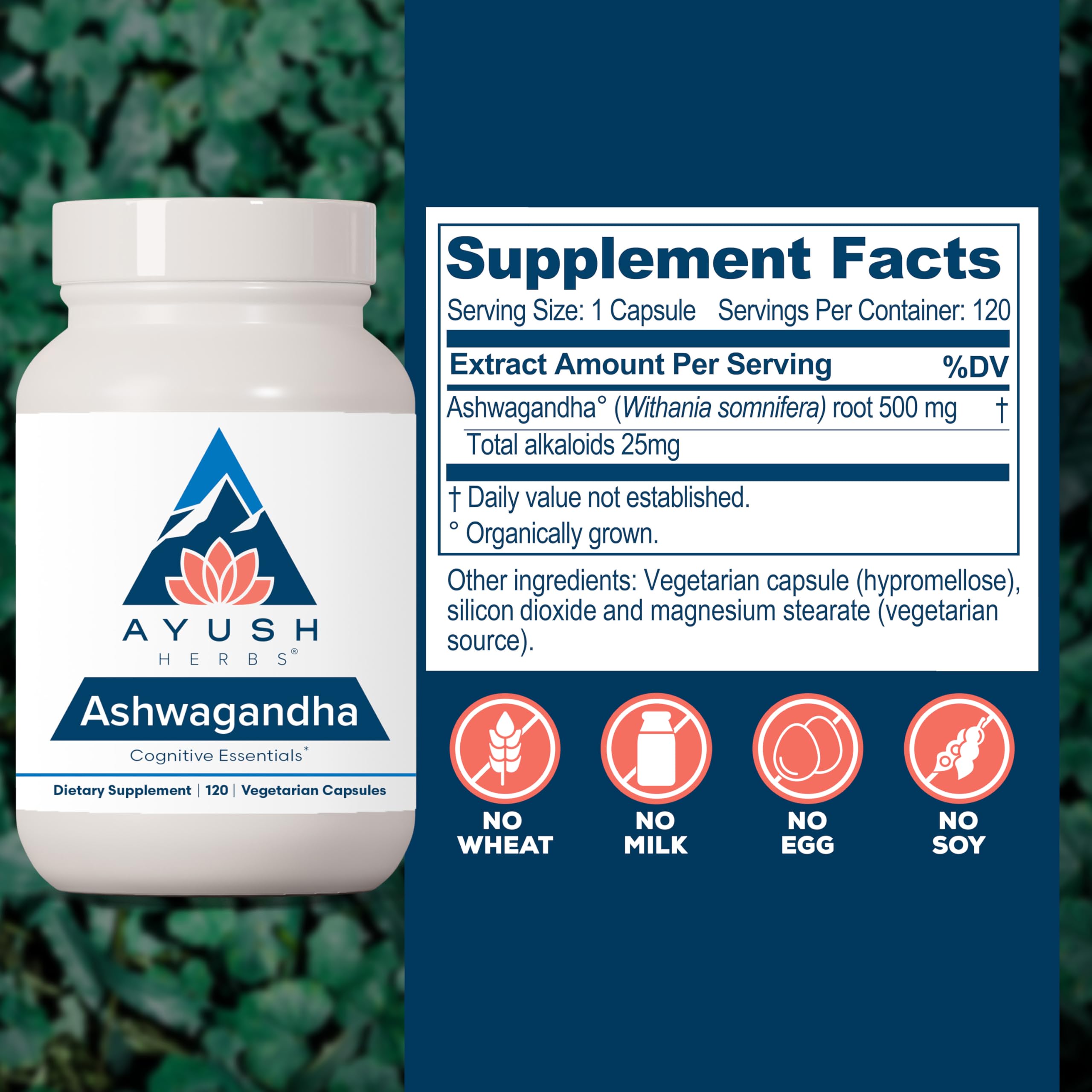 Amazon.com: Ayush Herbs Ashwagandha Capsules - Ashwagandha for Men