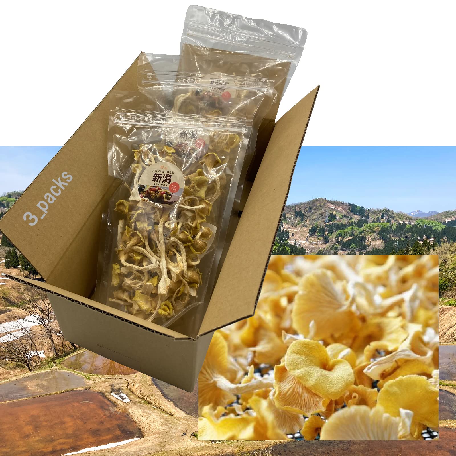 Amazon.co.jp: 【新潟 うおぬま】たもぎ茸 乾燥 25g × 3袋 ～幻の