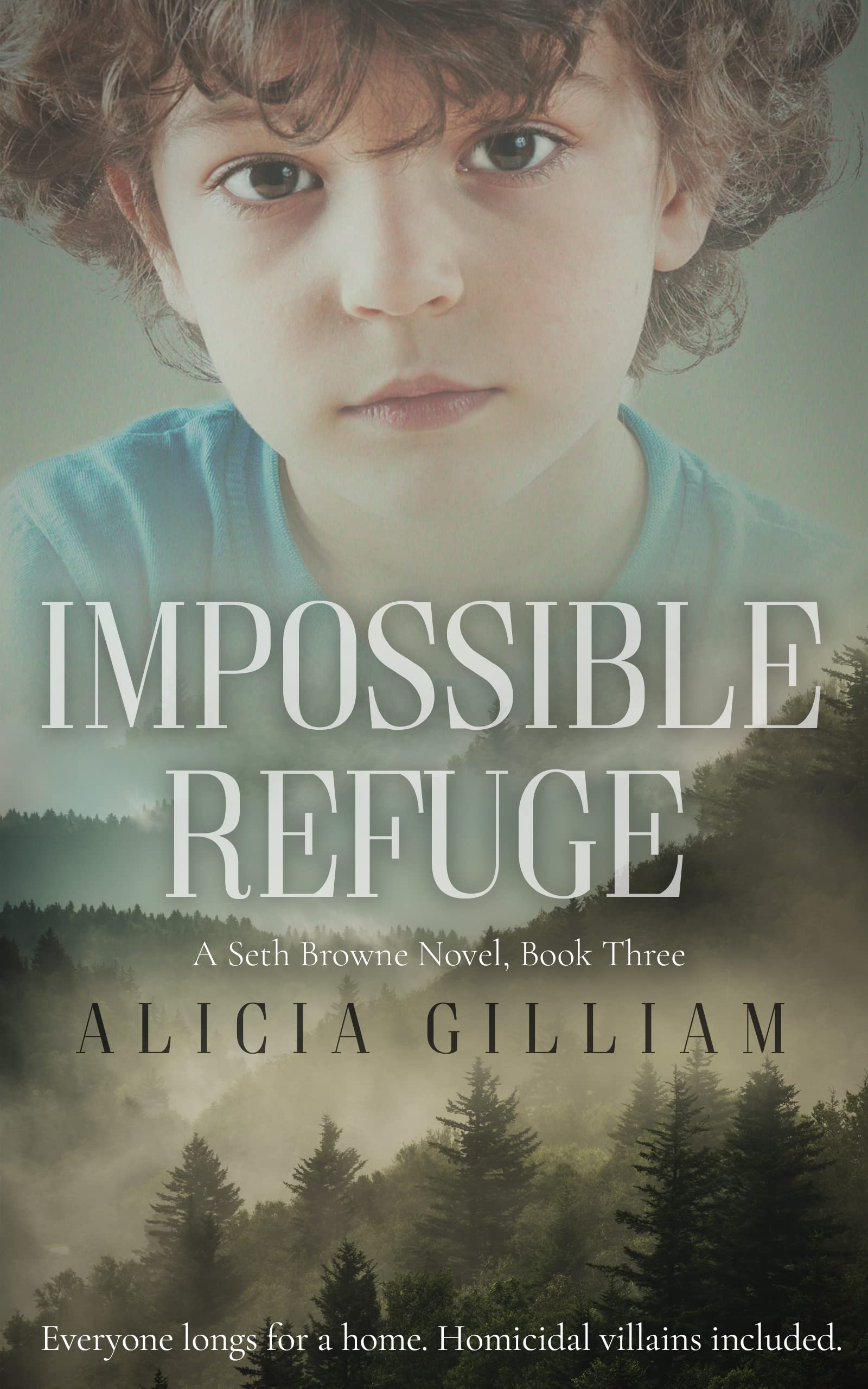 Impossible Refuge: A Seth Browne Novel, Book Three (Seth Browne Novels 3)