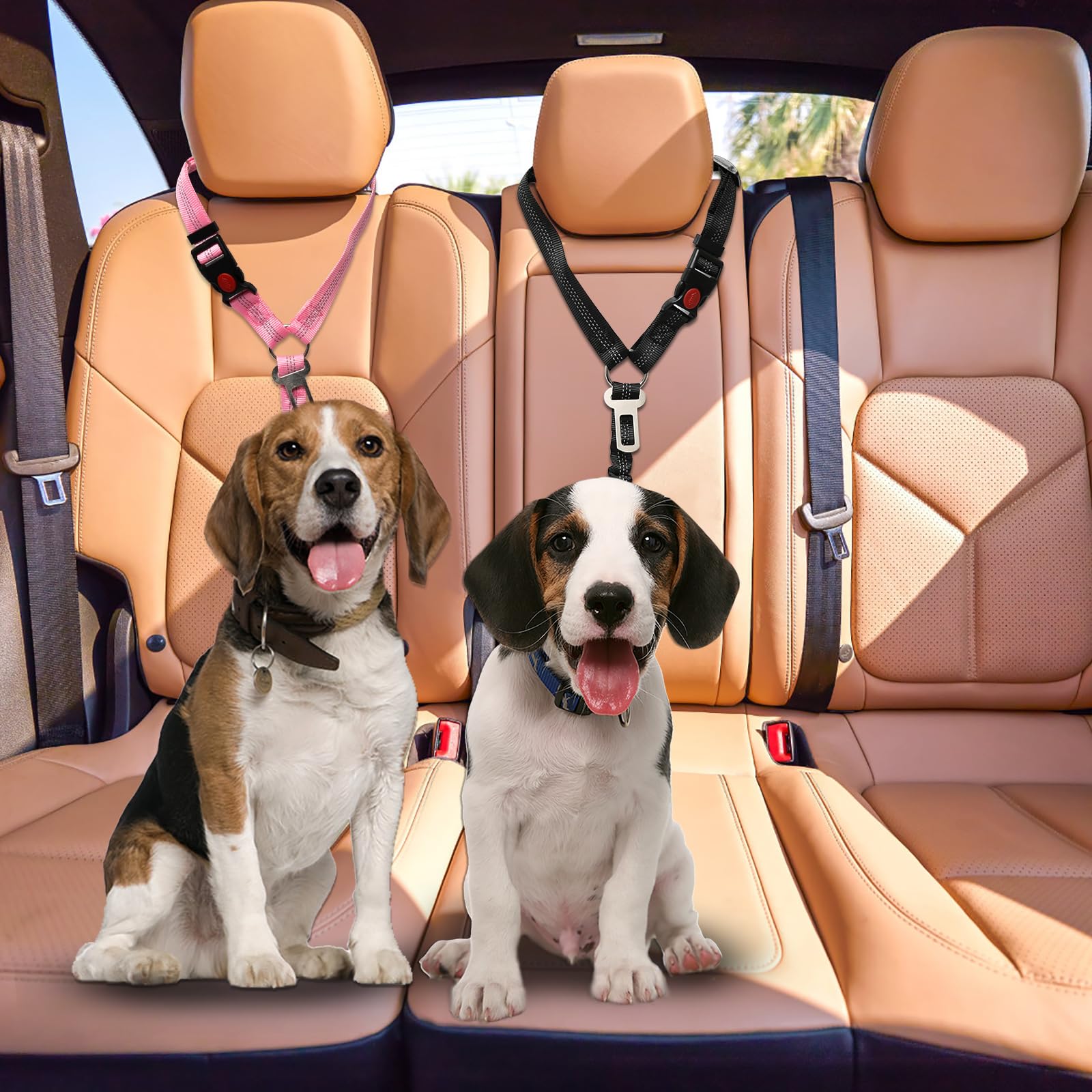 2 pièces réglable Ceinture securite Chien Voiture, Coussin élastique Anti-Vibration Ceinture sécurité Chien Convient aux Voitures (Noir + Rose)