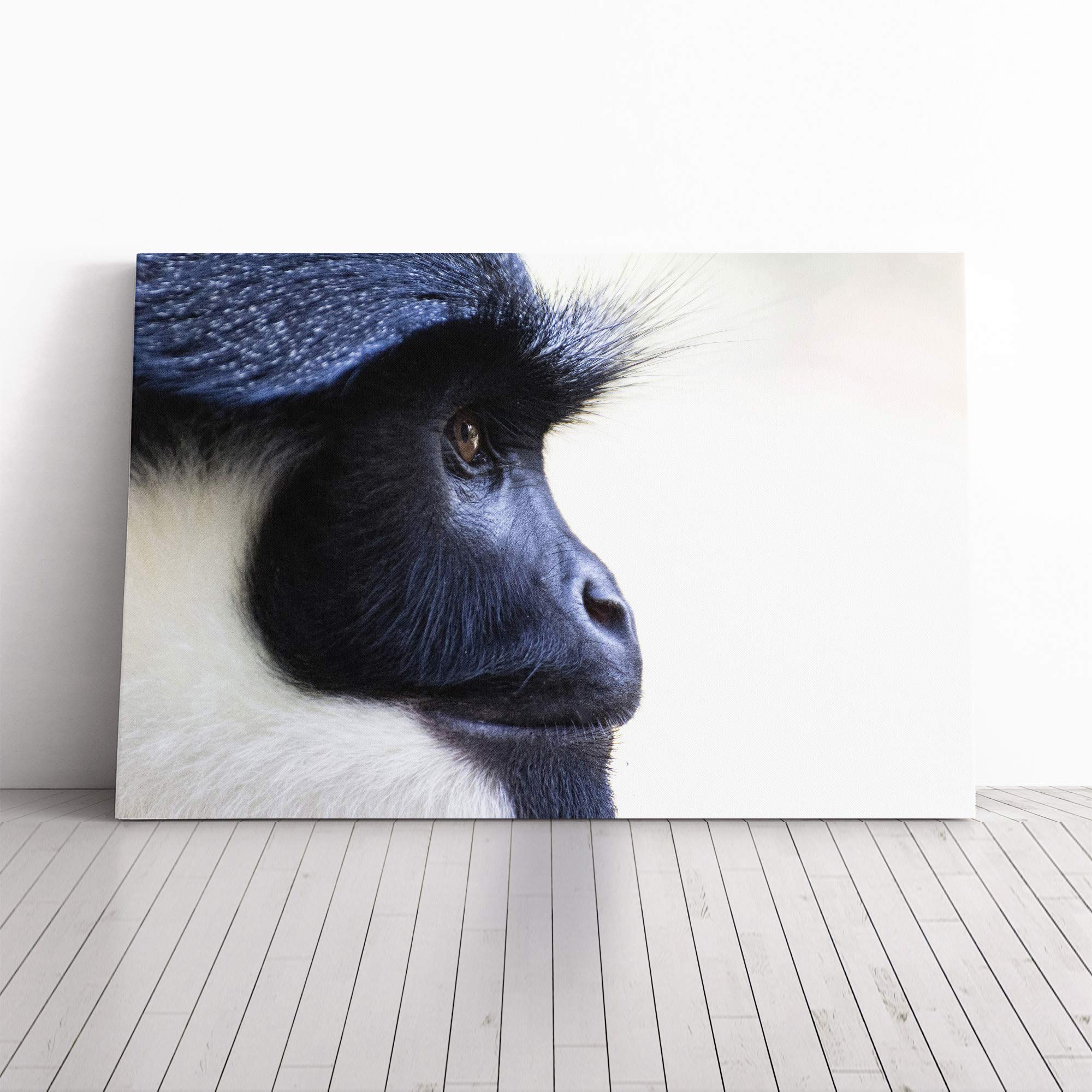 Colobus Monkey Canvas Print | Gallery Wrapped 30mm Frame Wall Art | 24x16 inches | Ready to Hang | Modern Animals Picture | Living Room Bedroom Lounge Office