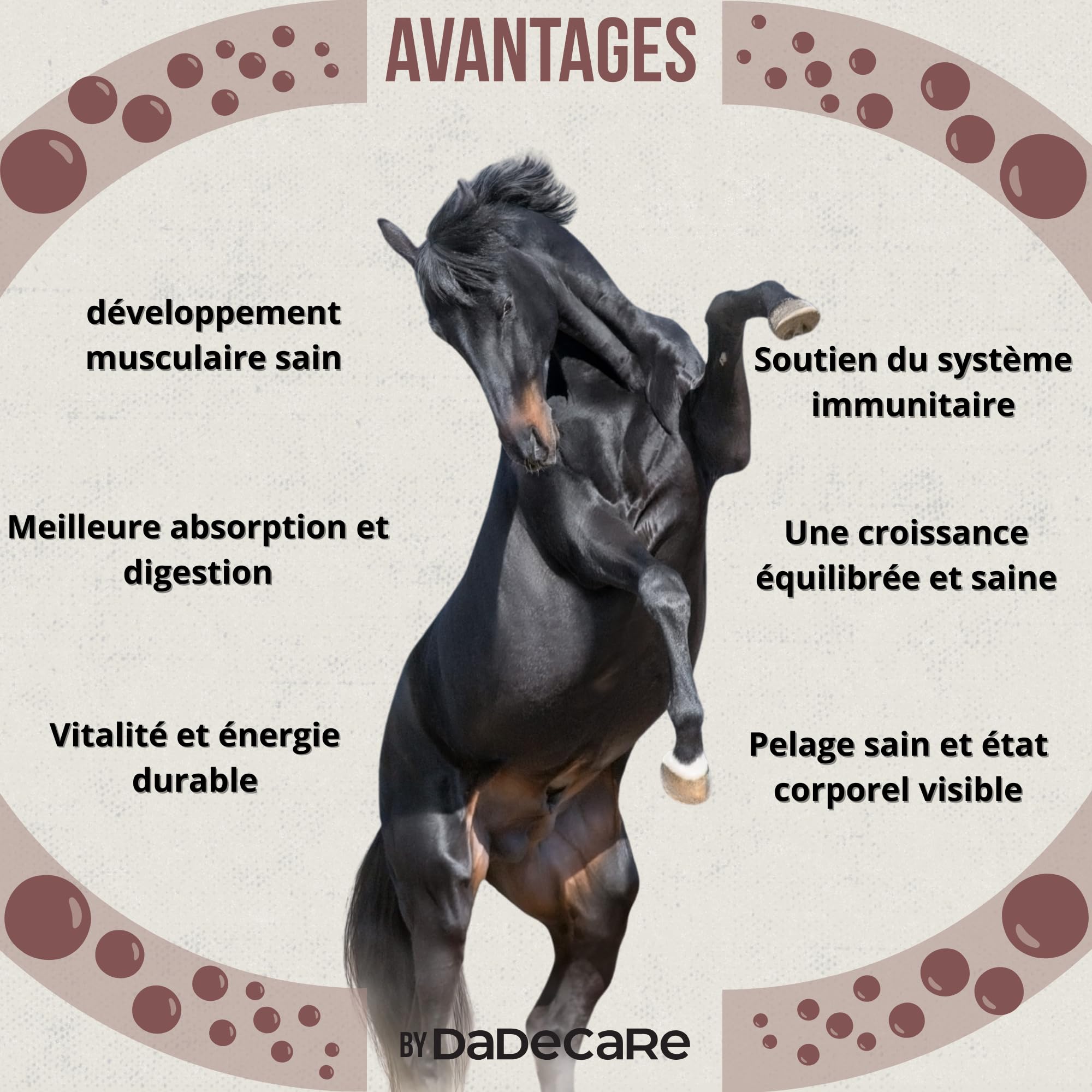 Promocare - Vitamines pour Chevaux 1 L avec acides aminés Essentiels et antioxydants - Complexe vitaminique B, E, C et A - Soutien au métabolisme, à l'énergie, à la récupération