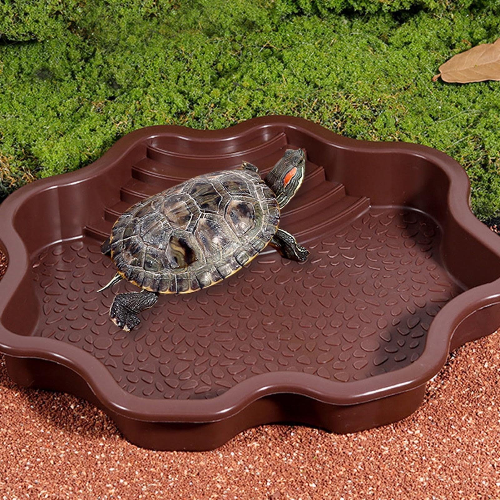 Plat à tremper pour reptiles, bol d'eau et nourriture avec marches pour tortue de piscine