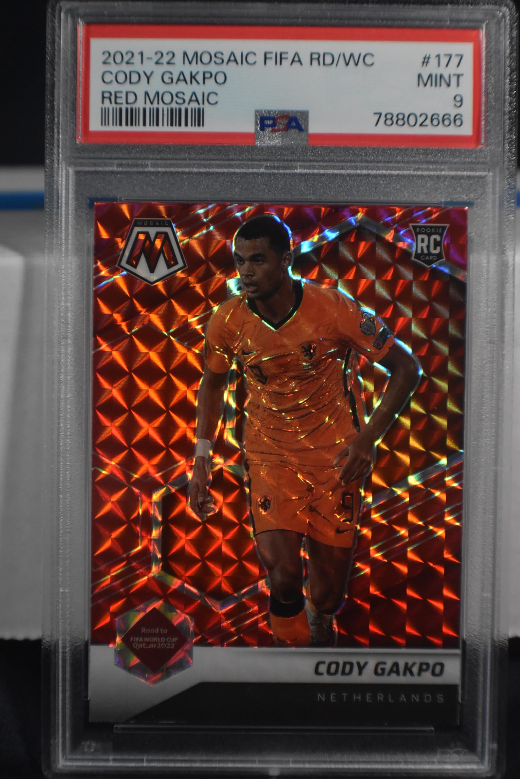 Amazon.com: CODY GAKPO 2021-22 Panini Mosaic FIFA Road to World