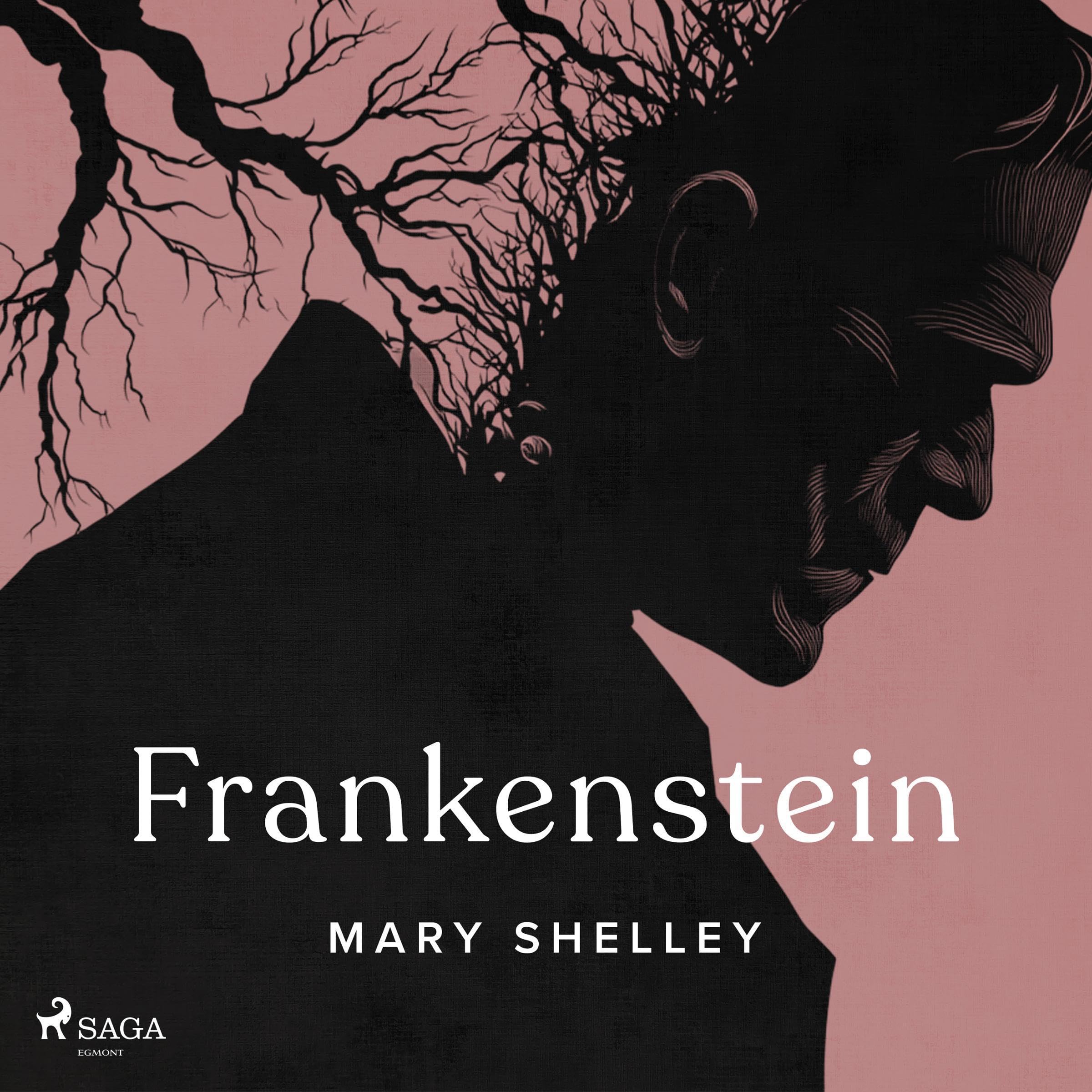 Cover art for Frankenstein (Spanish Edition)