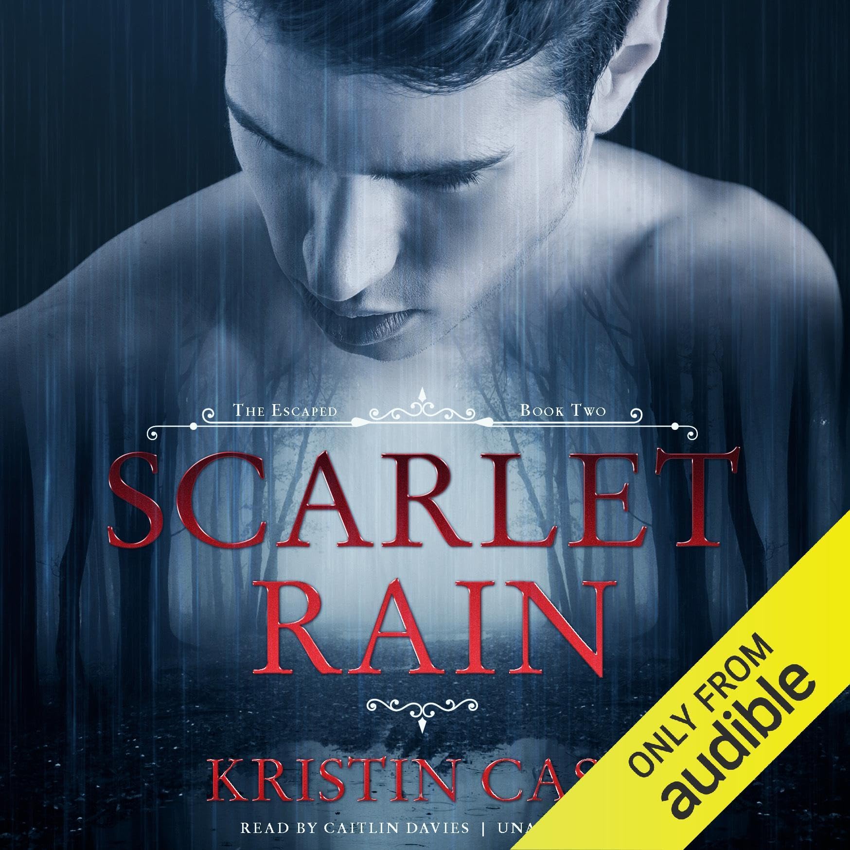 Cover art for Scarlet Rain