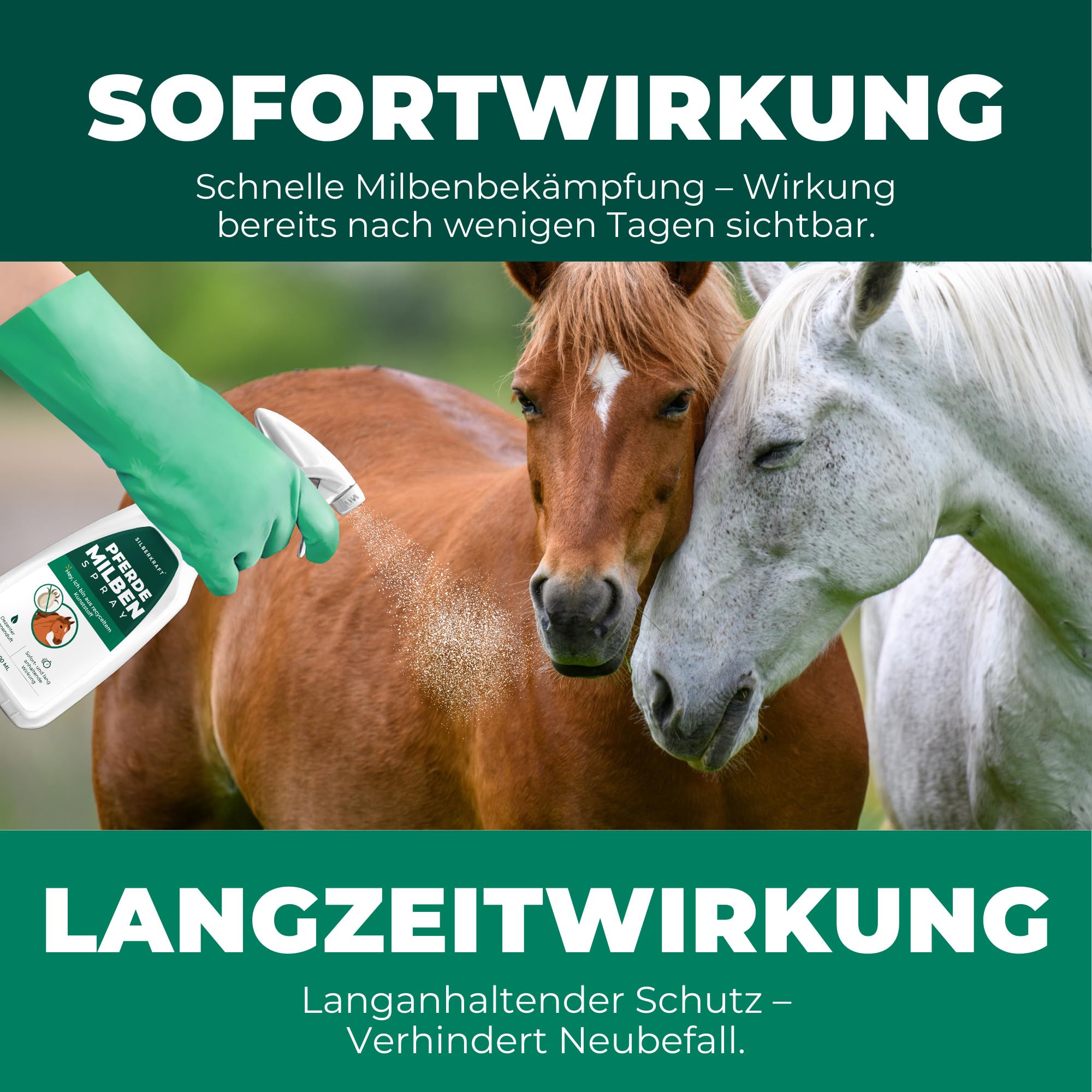 Silberkraft Milbenspray Pferde 2 L - Repellent zur Abwehr von Milben, Flöhen und Läusen - Für Fell, Mähne, Schweif & Stall - Gebrauchsfertig – mit Geraniol