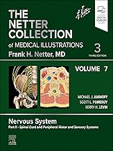 The Netter Collection of Medical Illustrations: Nervous System, Volume 7, Part II - Spinal Cord and Peripheral Motor and Sensory Systems - E-Book (Netter Green Book Collection)