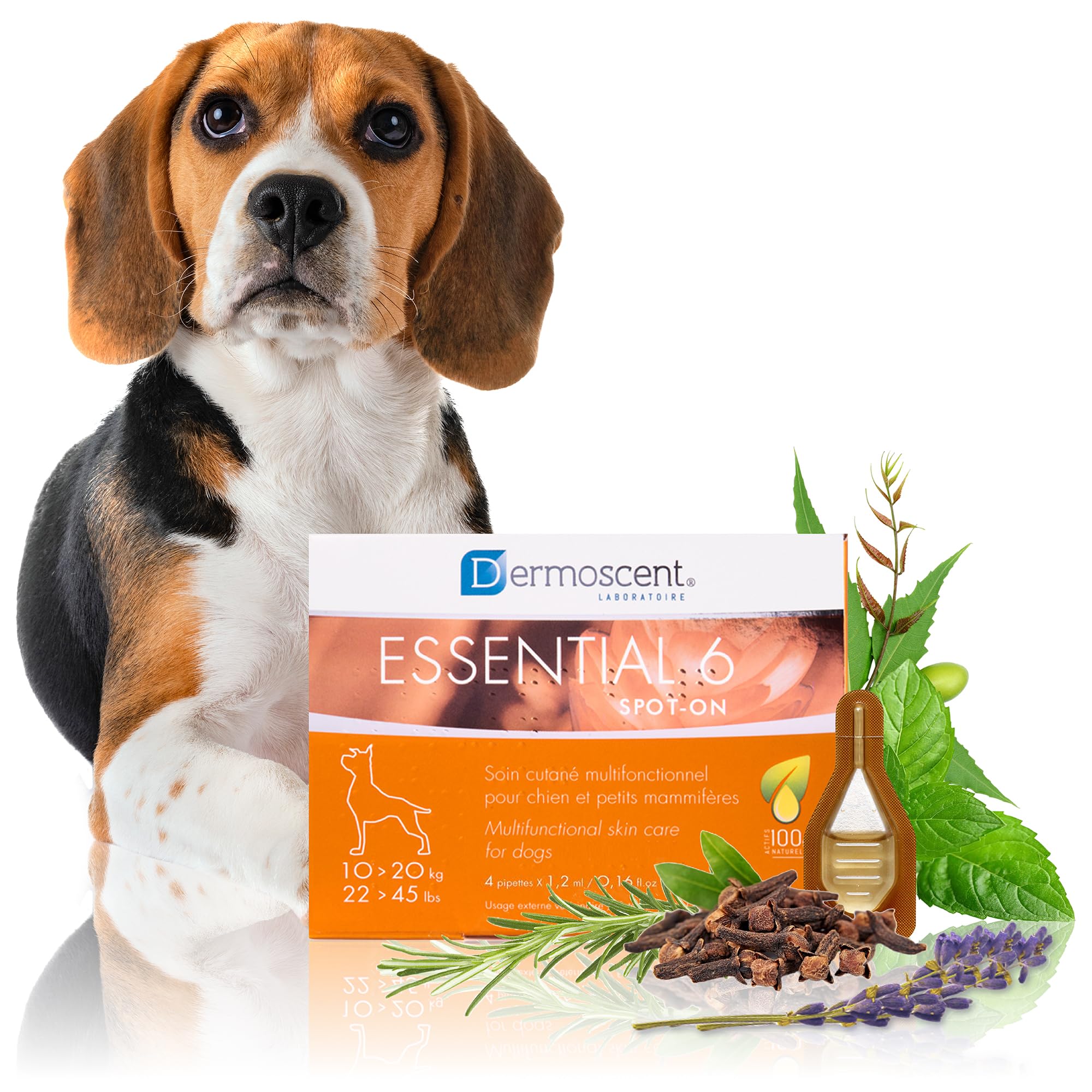 Innovative Hautpflegelösung für Hunde und kleine Haustiere | Feuchtigkeitsspendend, glänzend, kontrolliert Haarausfall, reduziert Gerüche und schützt mit natürlichen Inhaltsstoffen | 10-20 kg