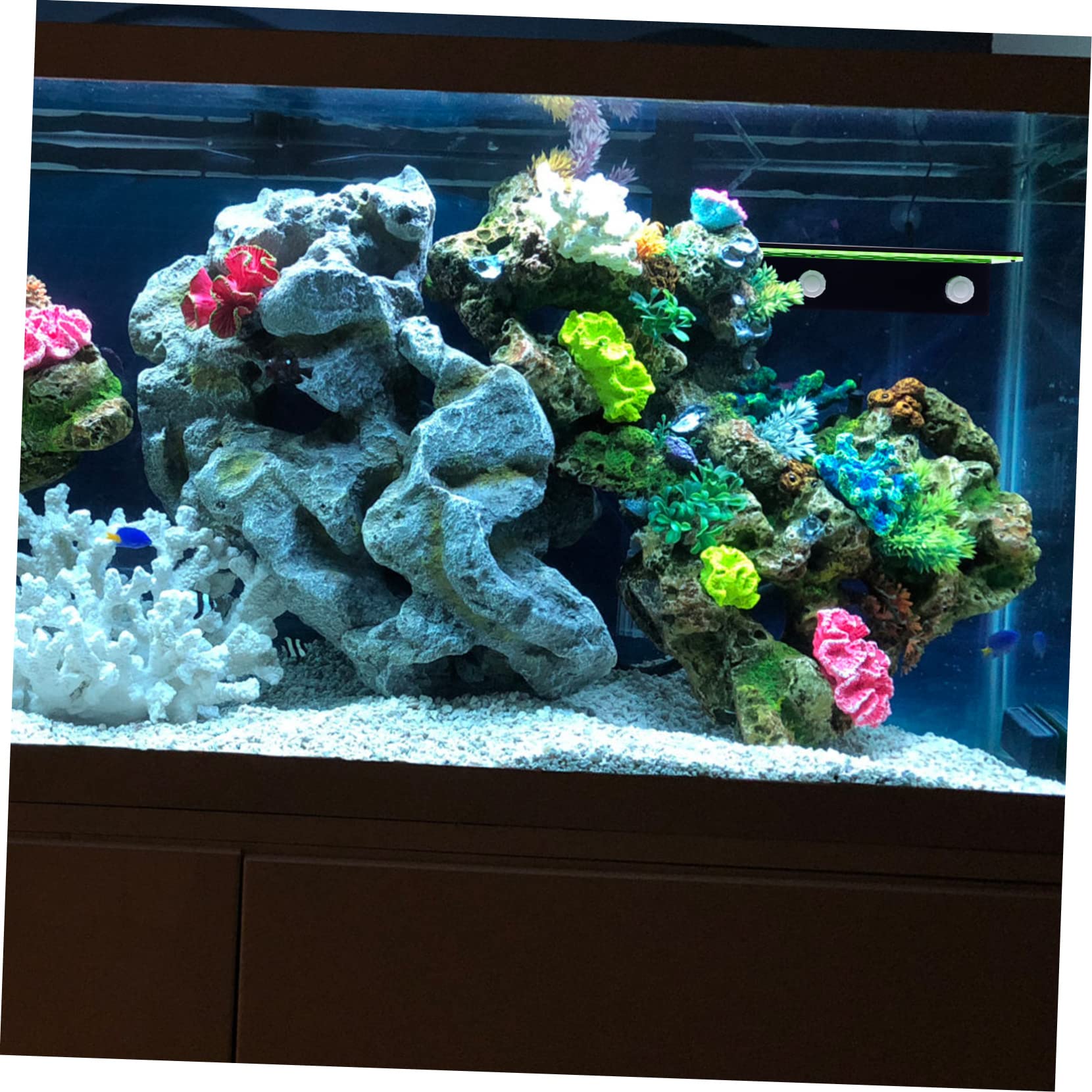 Dekorativer Korallenhalter zur Stabilisierung, 32-fach, Acryl, Grün | Ablegergestell für Meerwasserkorallen, zur Zucht Lebender Exemplare, als Aquarien Deko