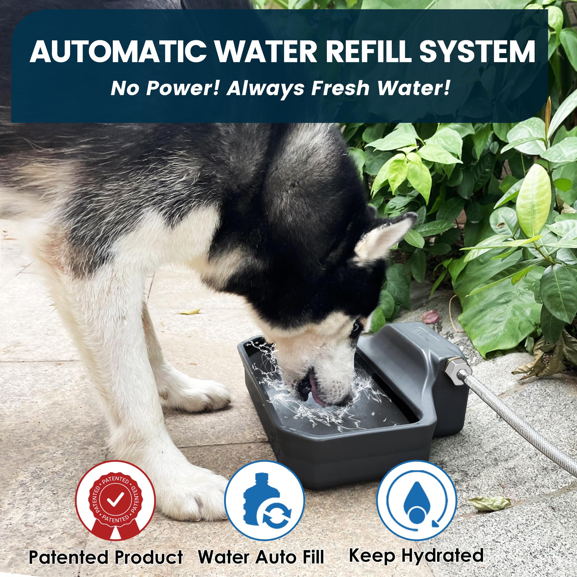 Amazon | PETIMI 自動犬用ウォーターディスペンサー 1ガロン 犬用